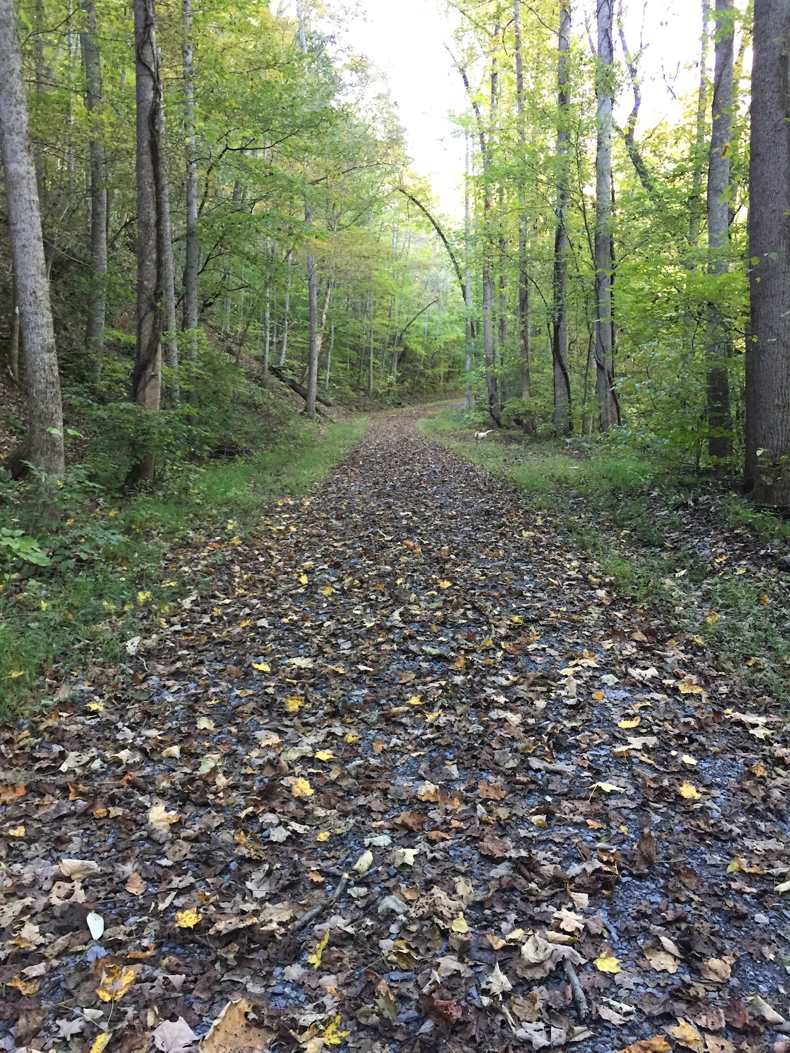Spillway Trail