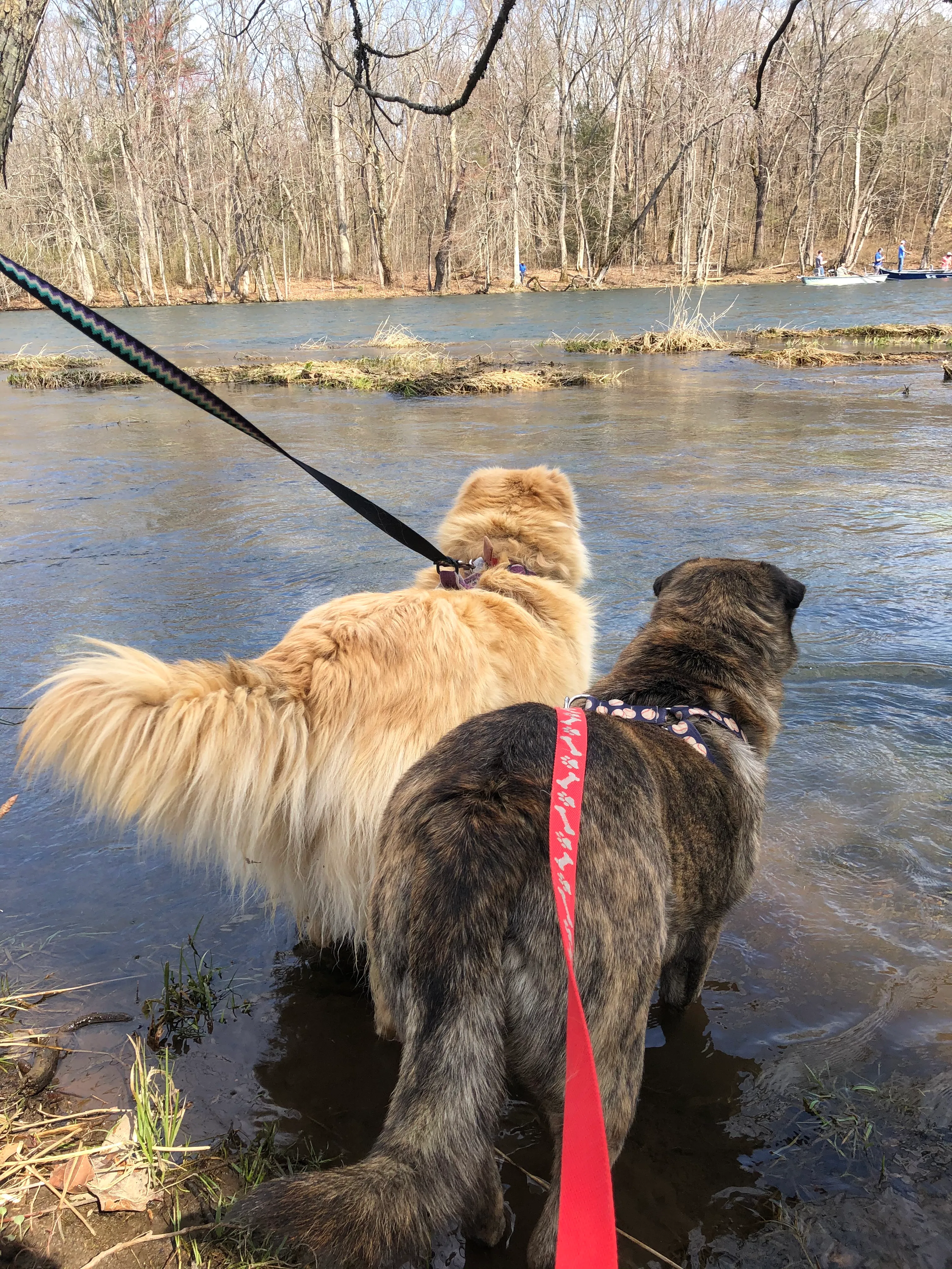 Emmett Trail