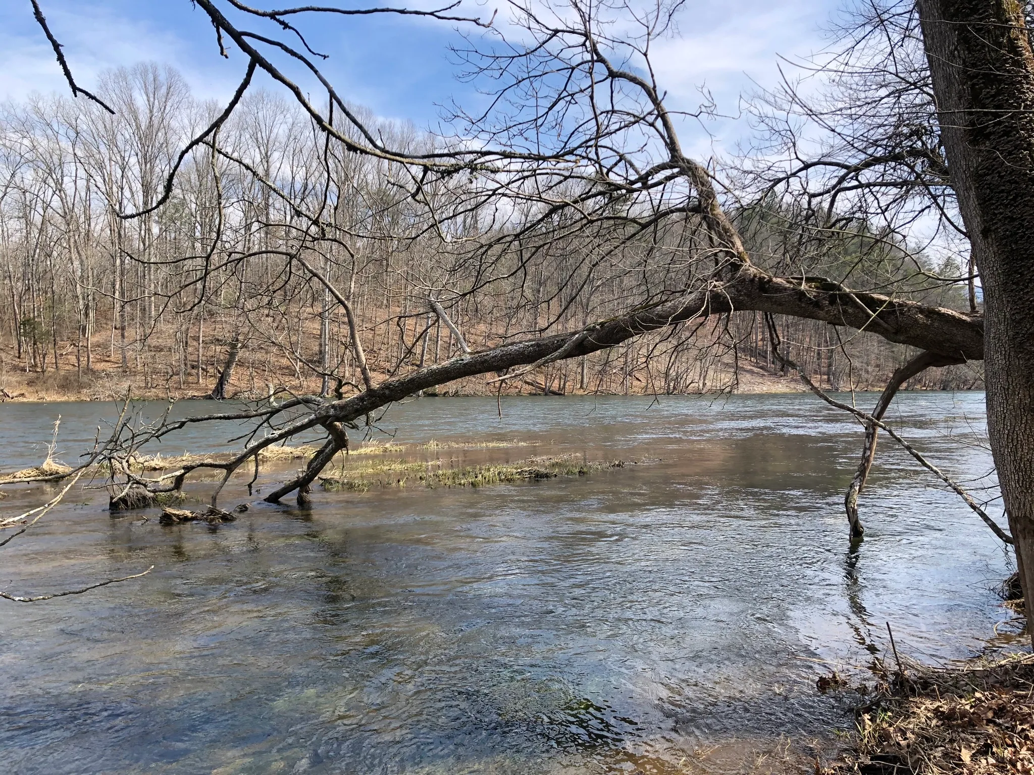 Emmett Trail