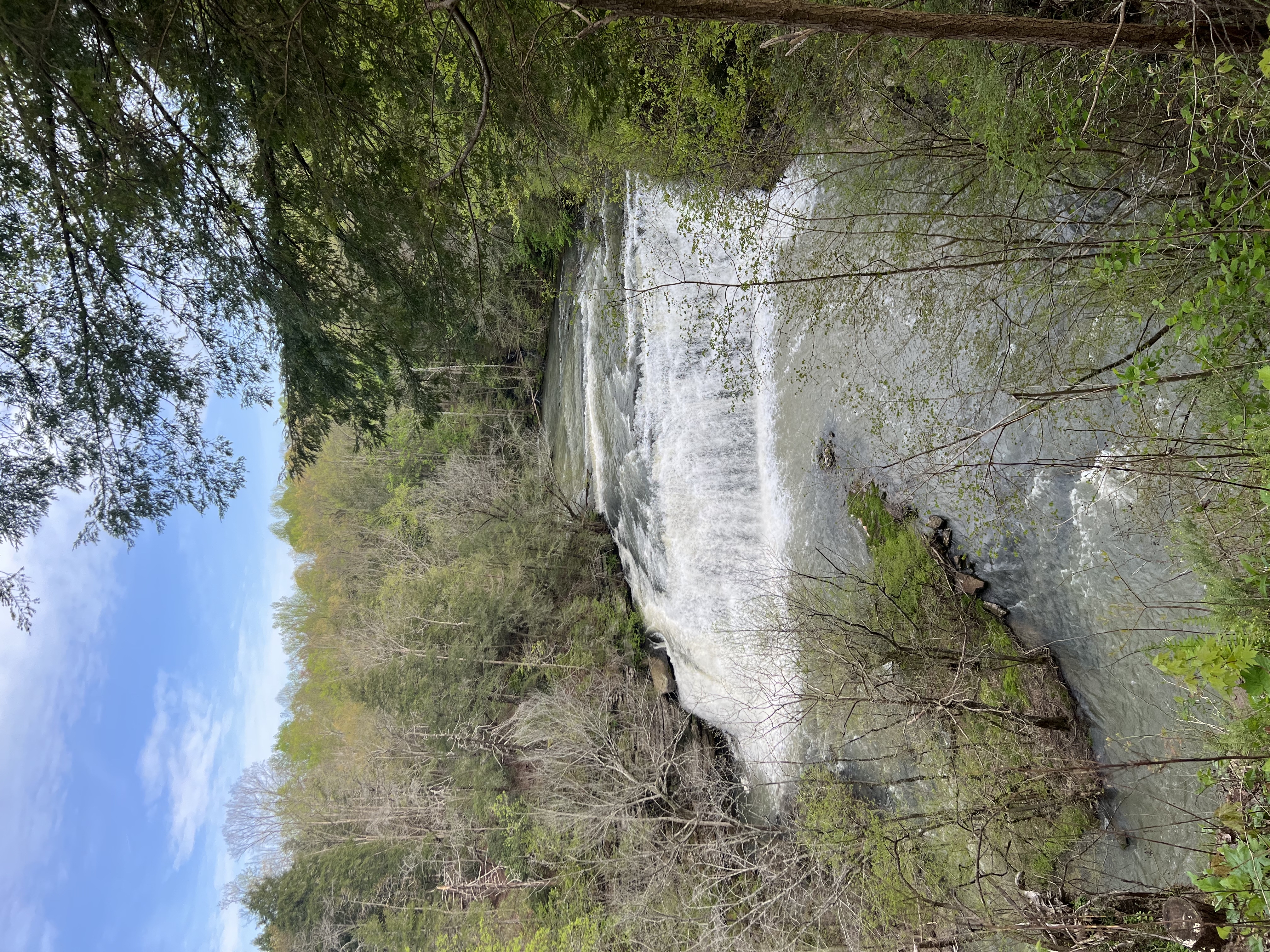 Burgess Falls