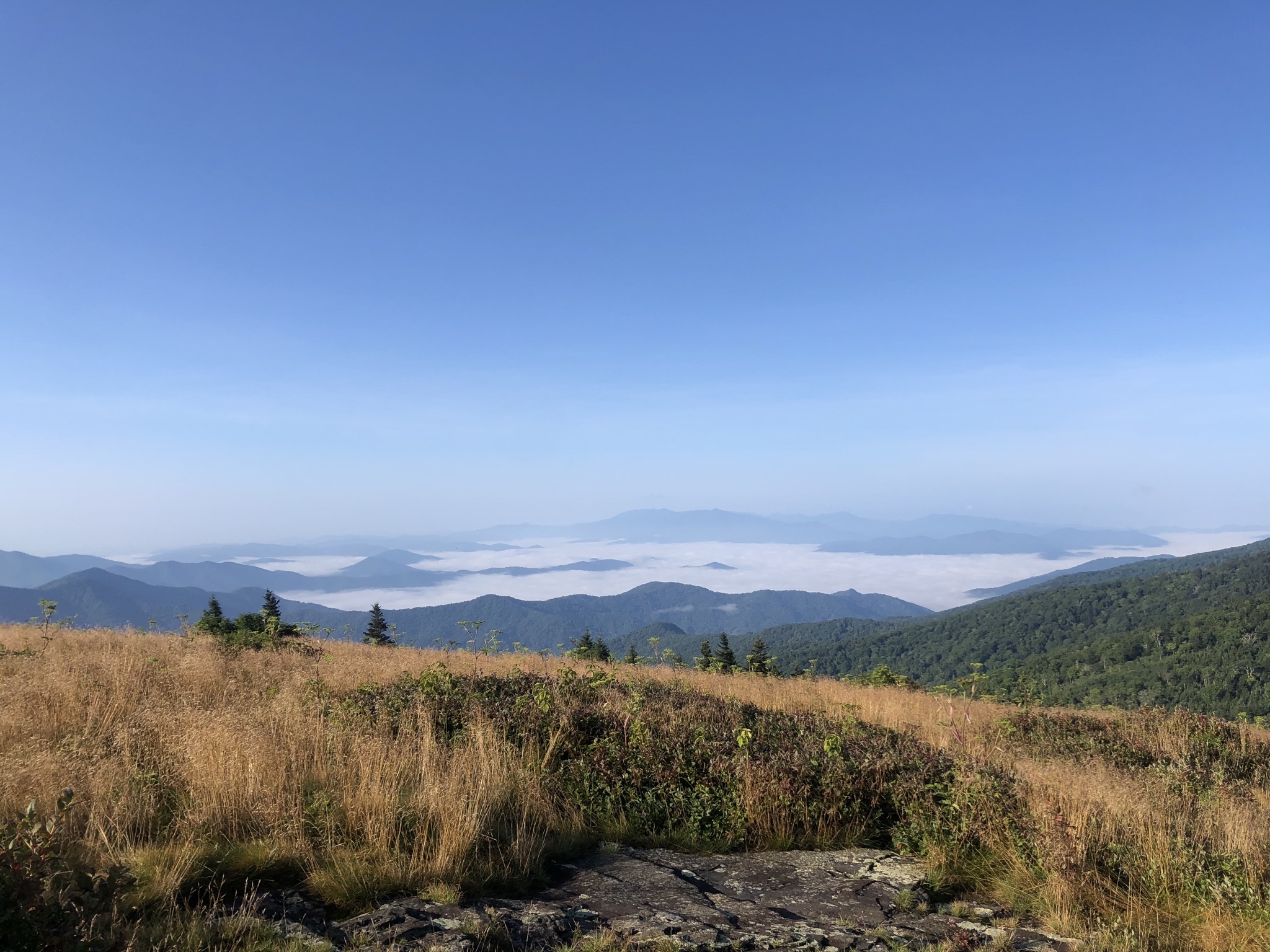 Appalachian Trail: Carvers Gap to Yellow Mountain Barn