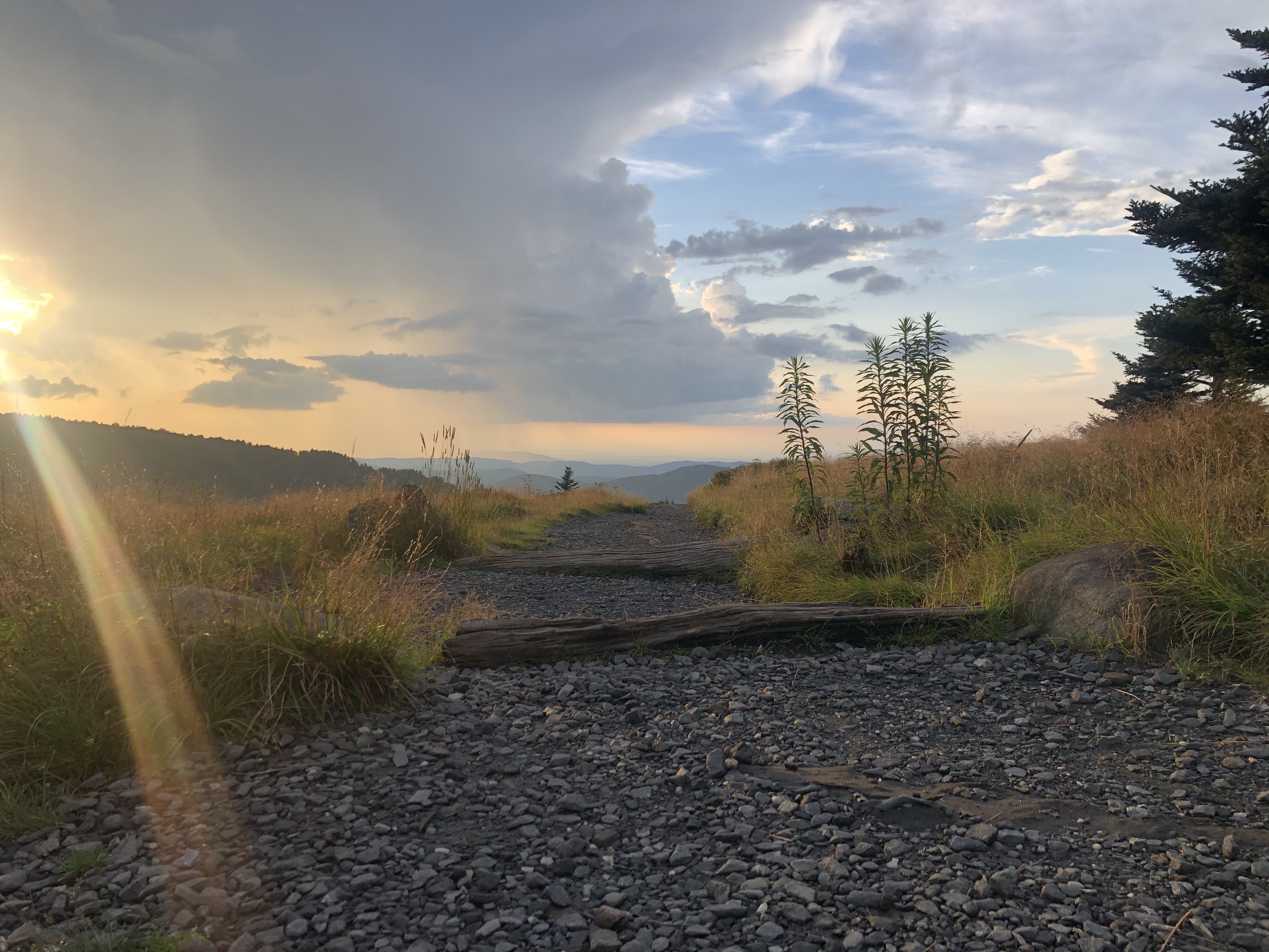 Appalachian Trail: Carvers Gap to Yellow Mountain Barn