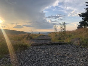 Appalachian Trail: Carvers Gap to Yellow Mountain Barn