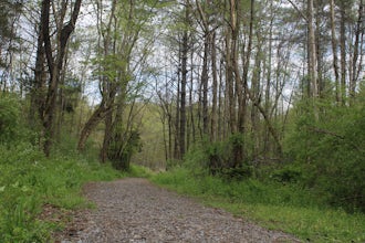 Bouton Loop Trail 
