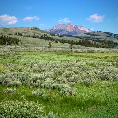 Drive the Grand Loop in Yellowstone NP