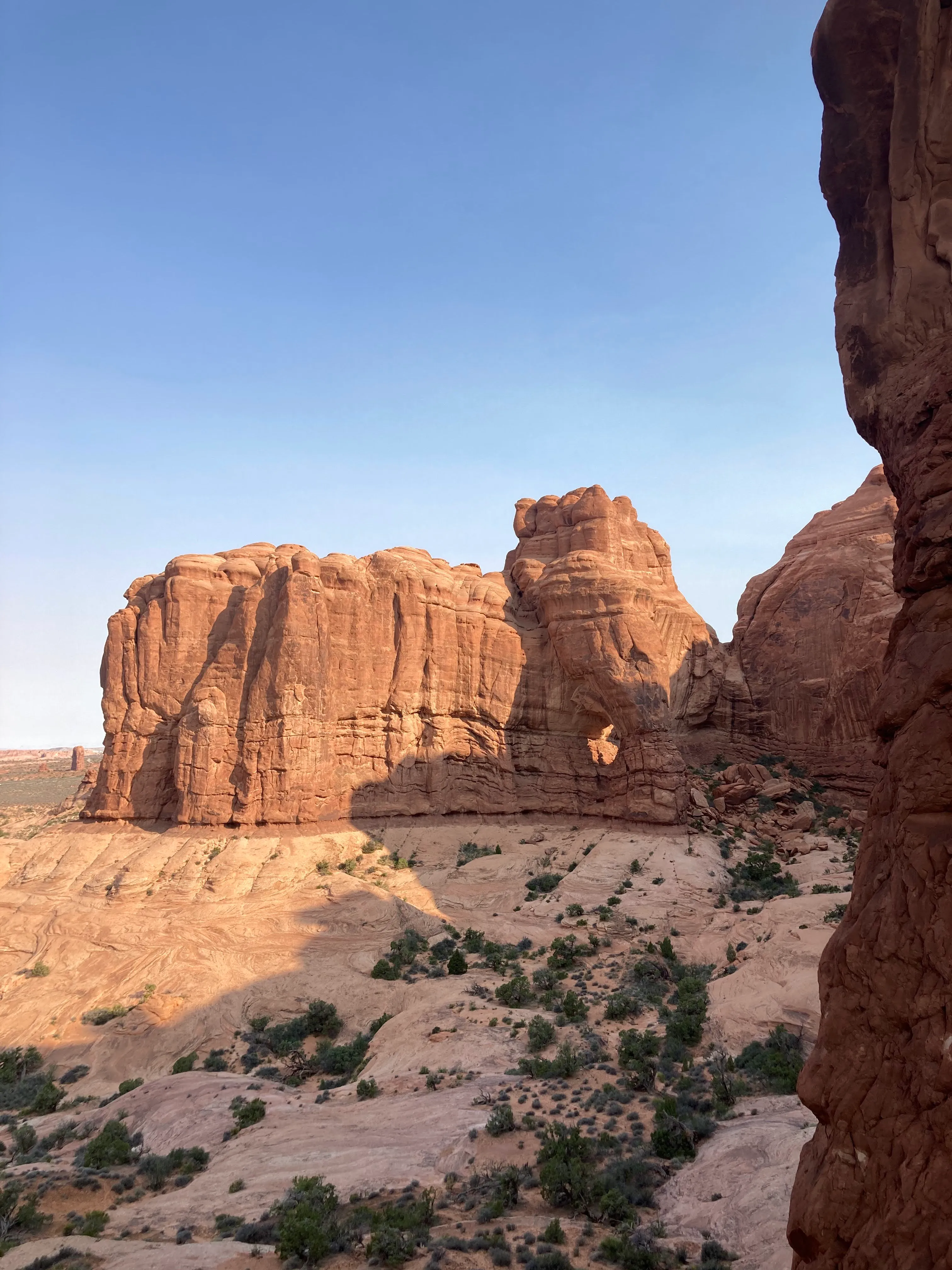 Window Arch Loop