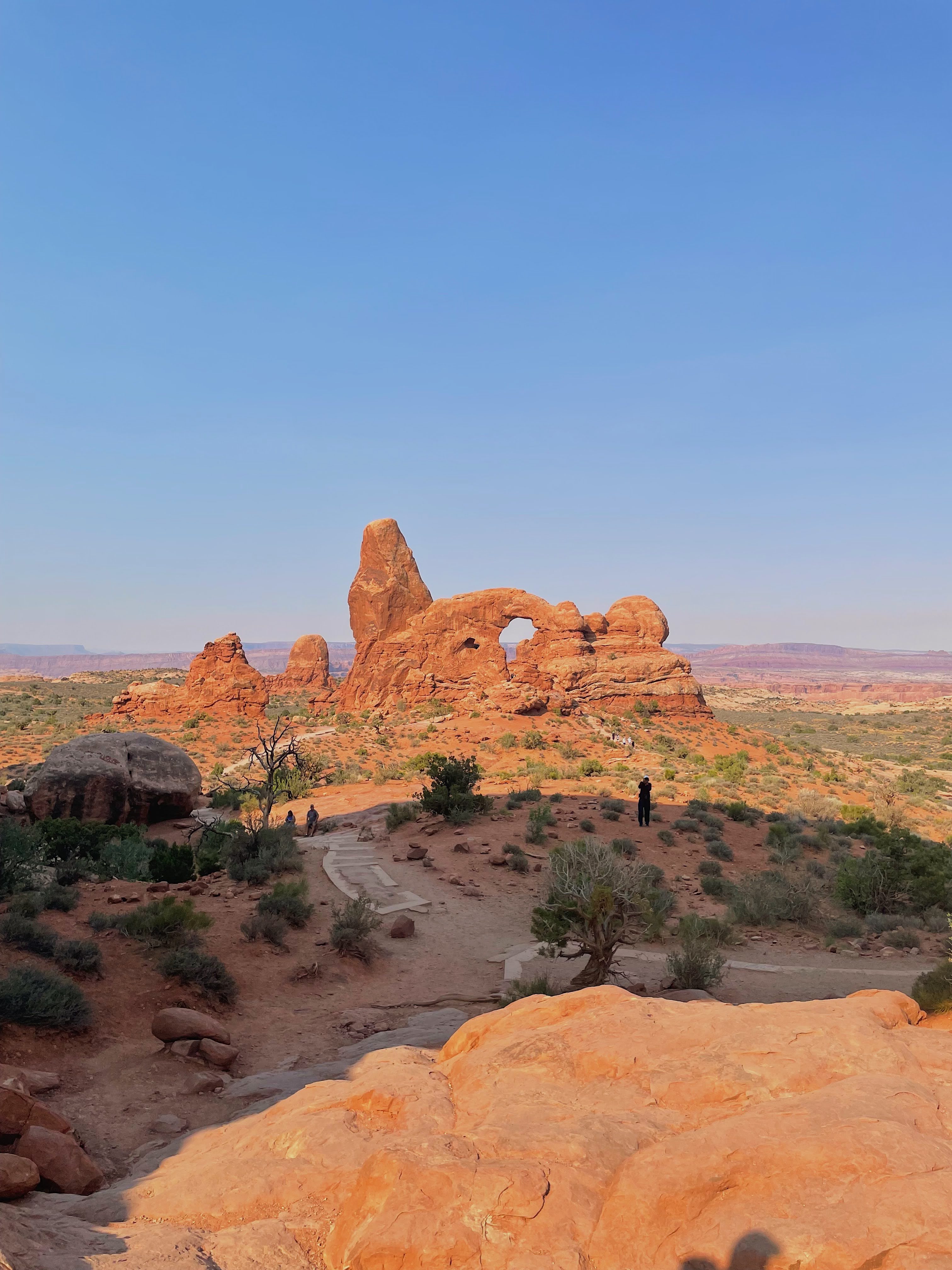 Window Arch Loop