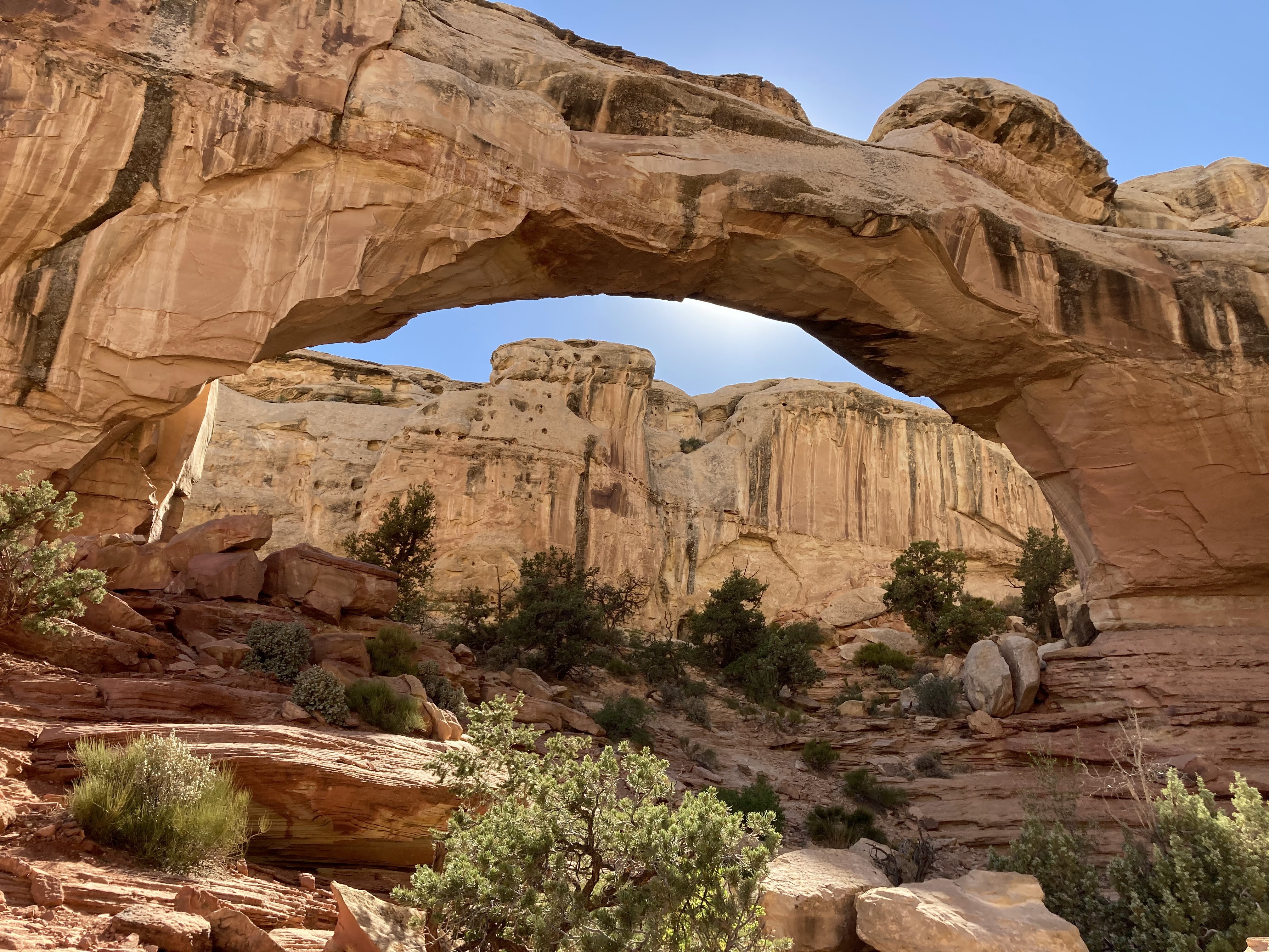 Hickman Natural Bridge Trail