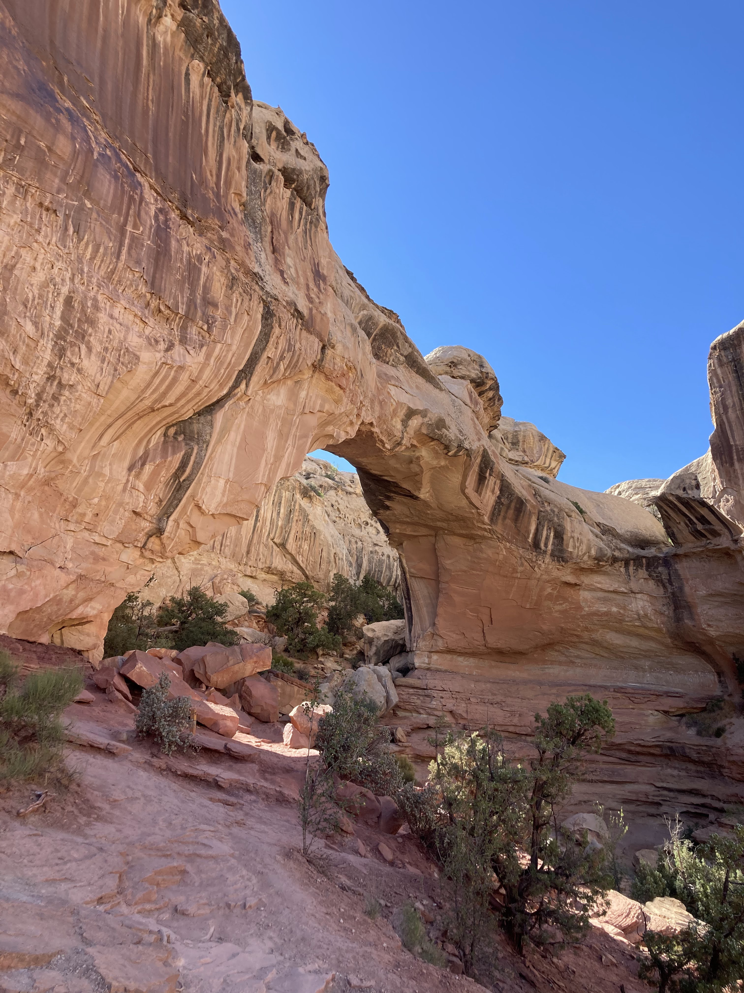 Hickman Natural Bridge Trail