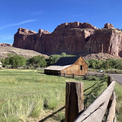 Explore the Orchards and Gifford House of Capitol Reef 