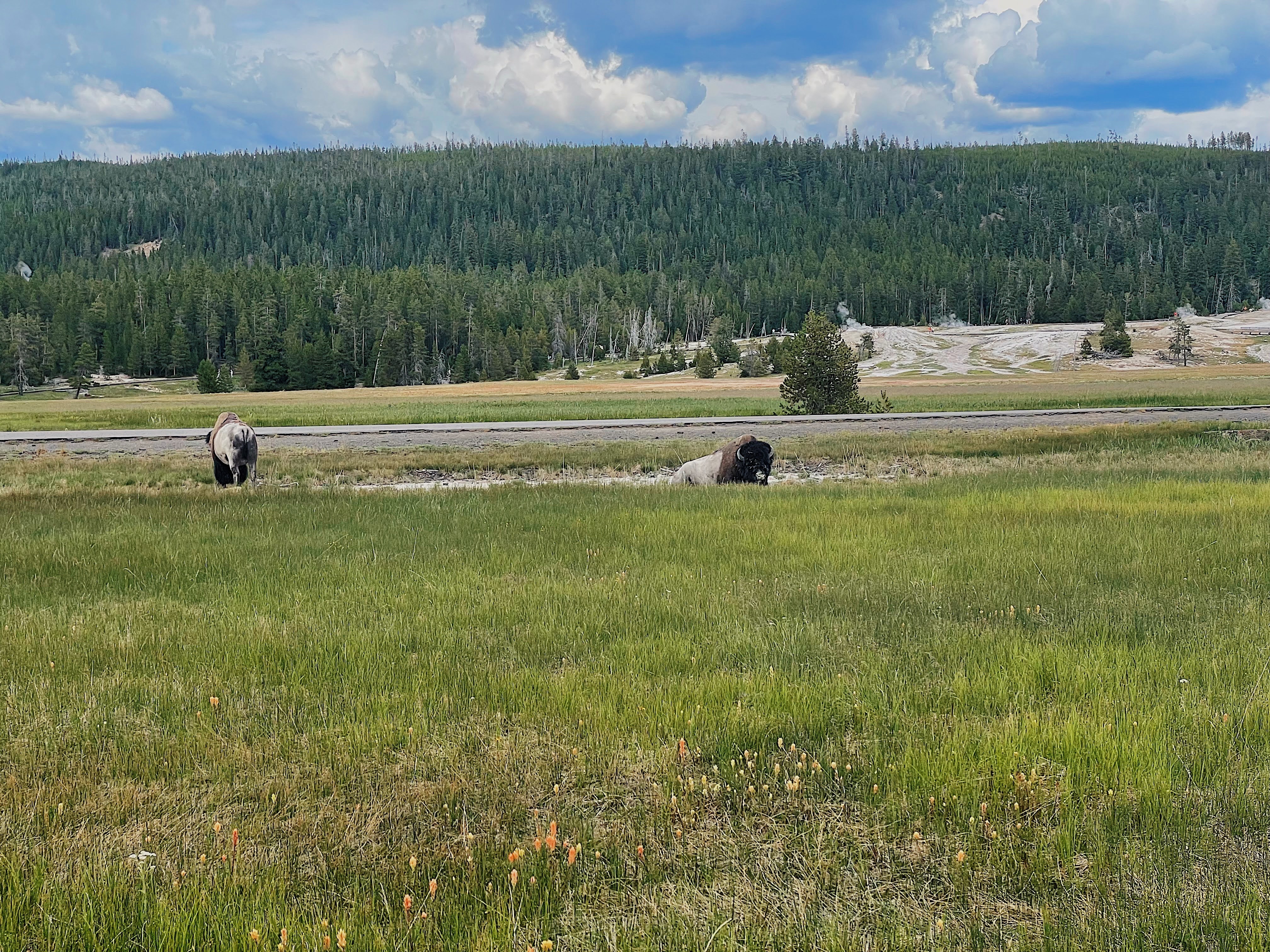 Upper Geyser Basin Old Faithful Observation Point Loop