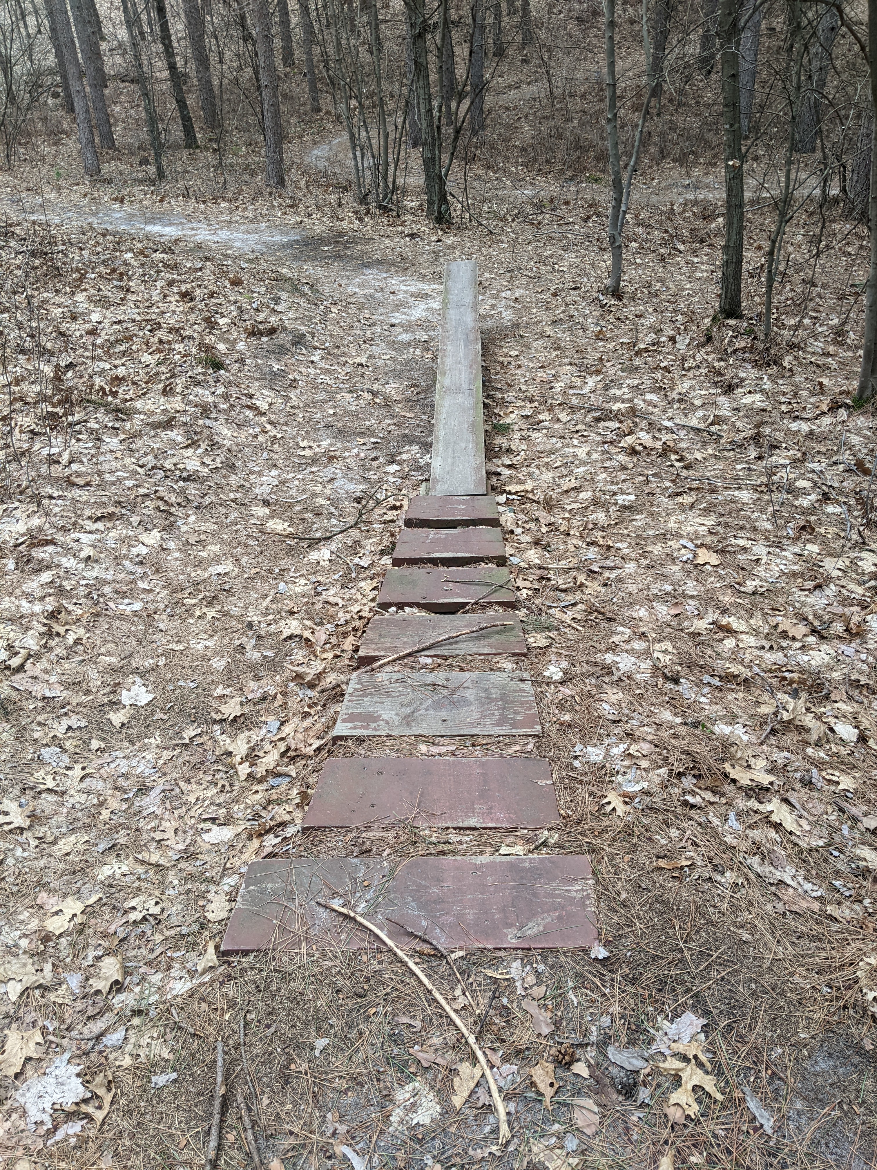 Levis/Trow Mounds Trail
