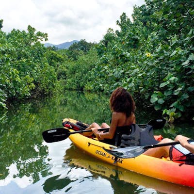 Kahana Rainforest River Kayak