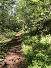 Lake Ridge Trail to Cross Ridge Trail Loop