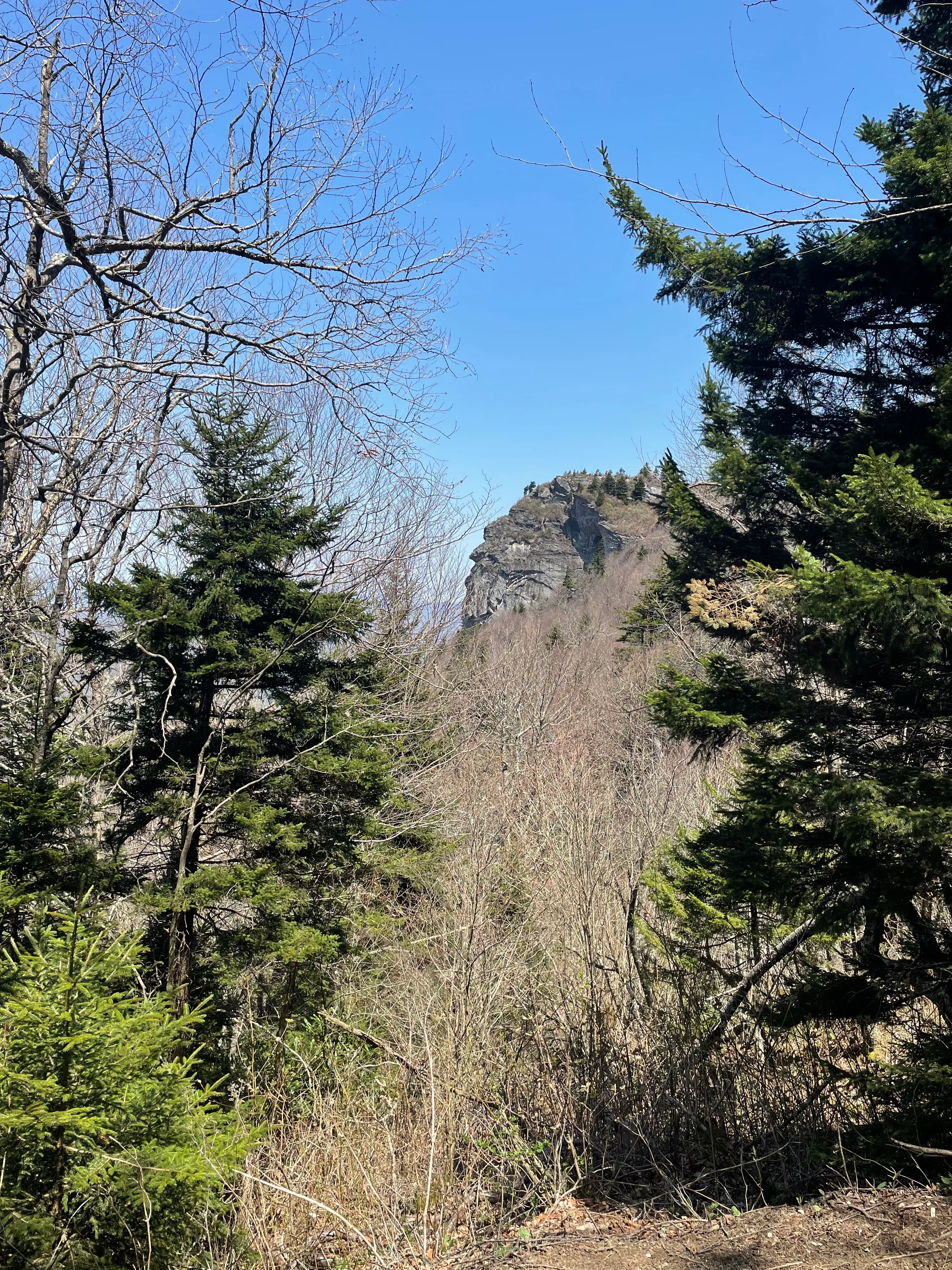 Profile Trail to Calloway Peak