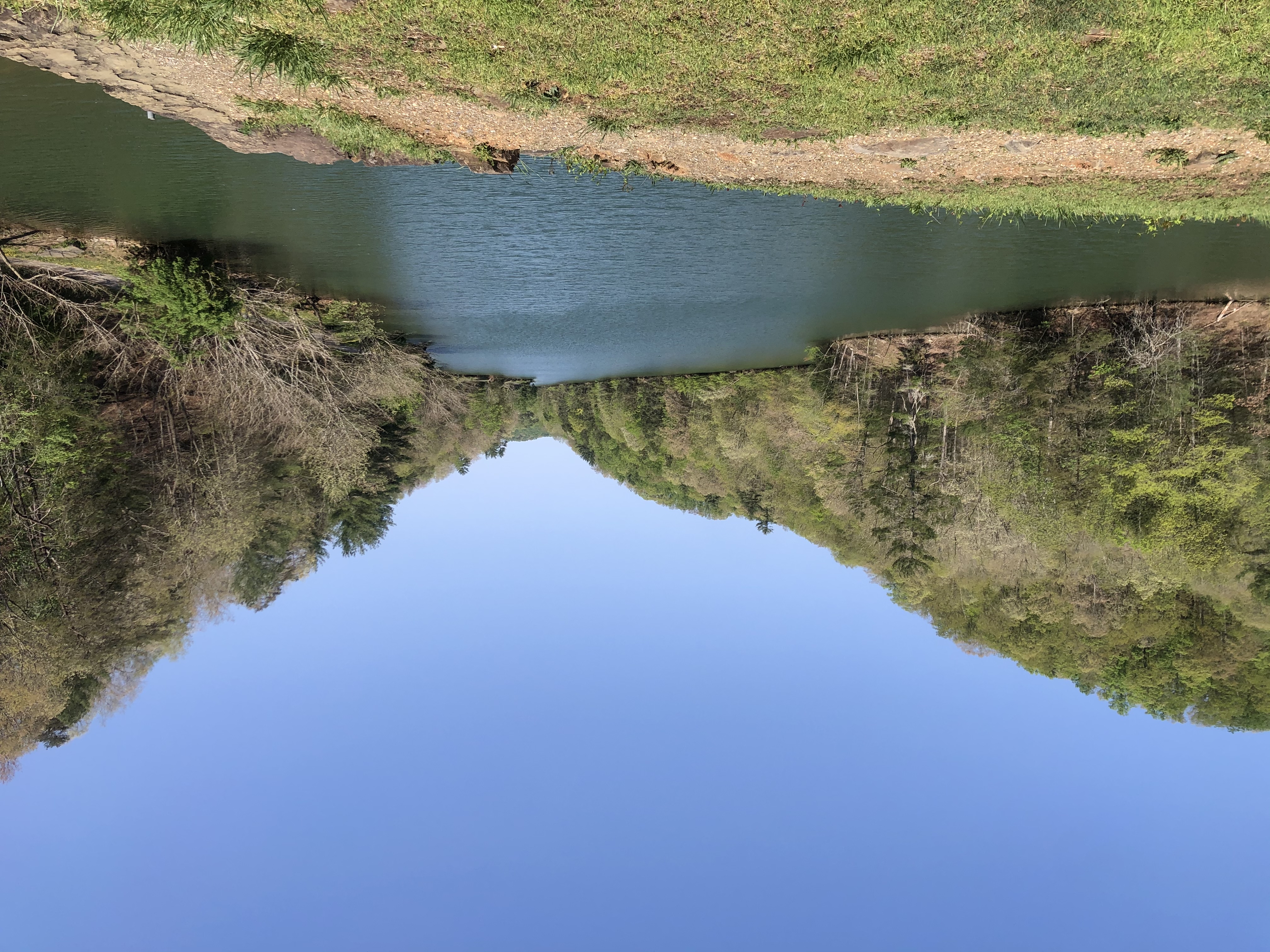 Lake Ridge Trail and Lakeside Trail