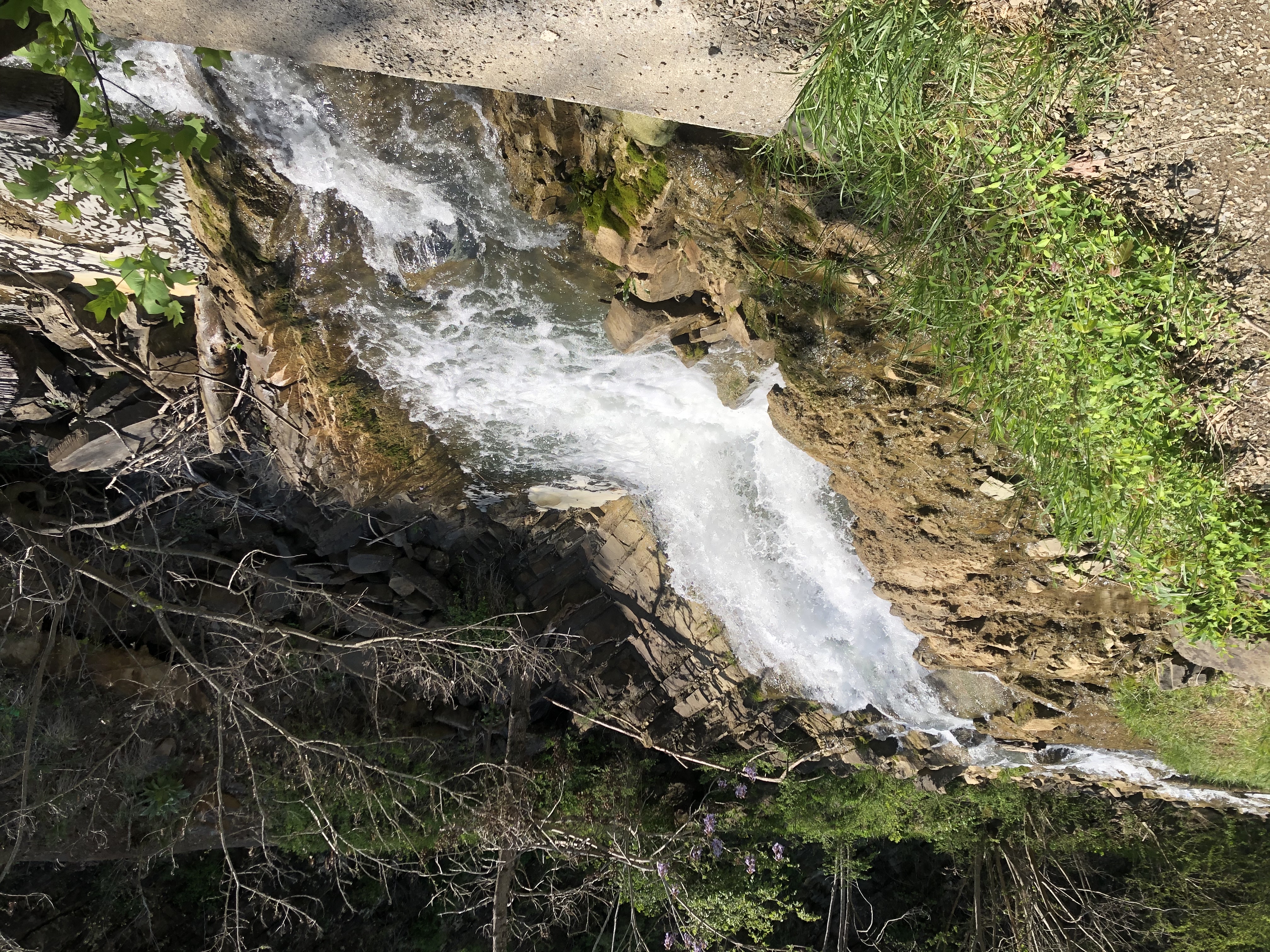 Lake Ridge Trail and Lakeside Trail