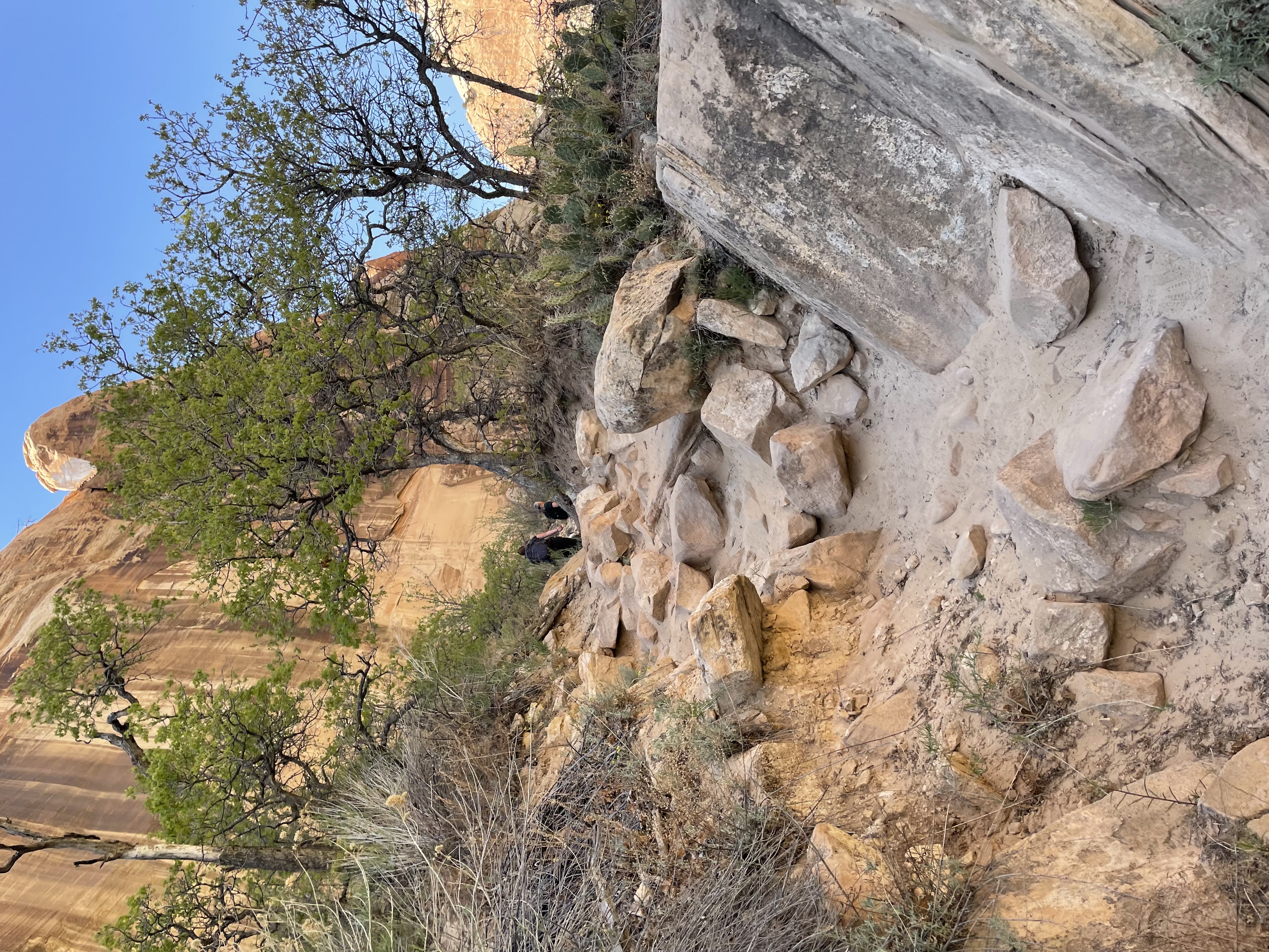 Lower Calf Creek Falls