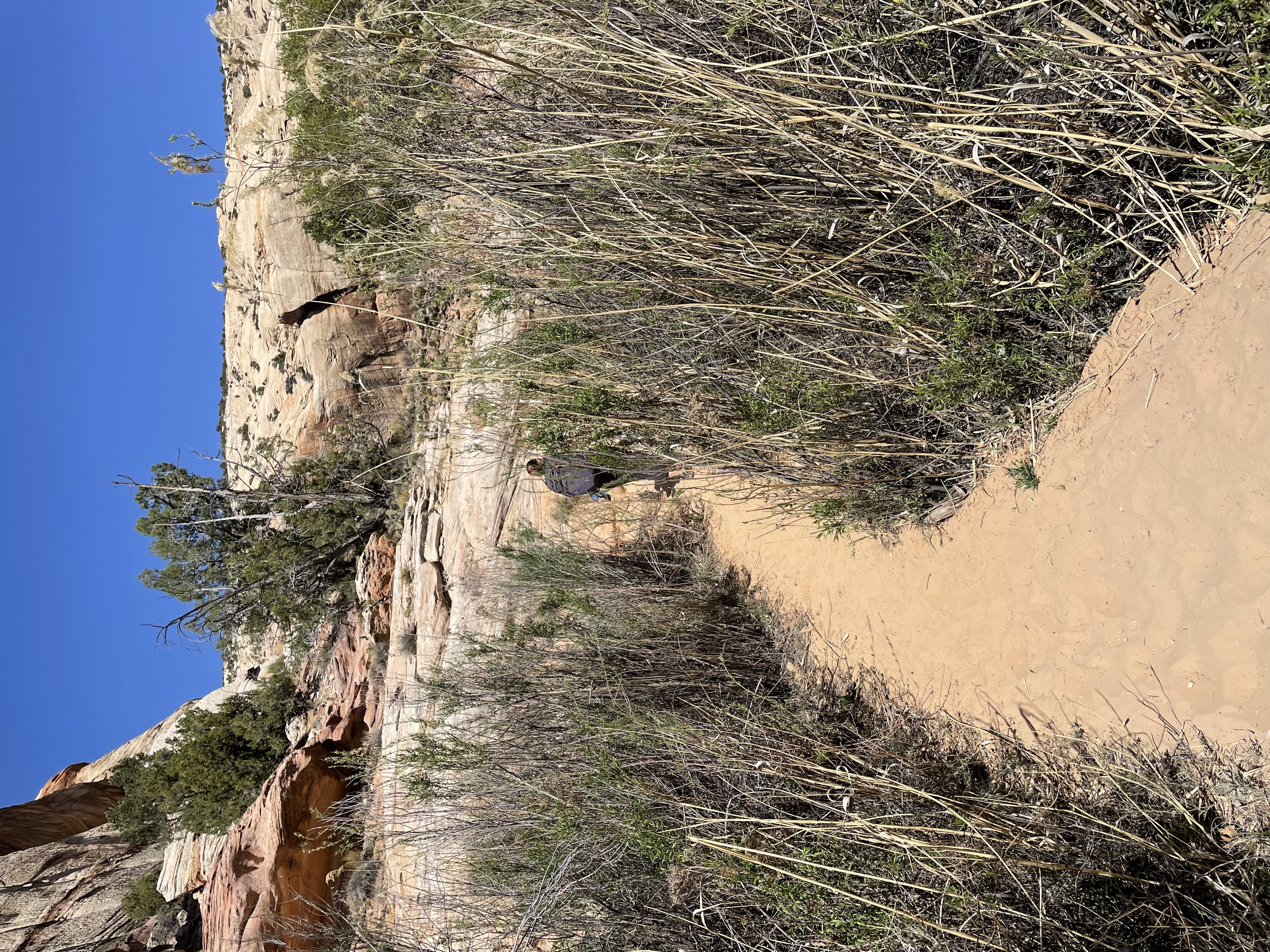 Lower Calf Creek Falls