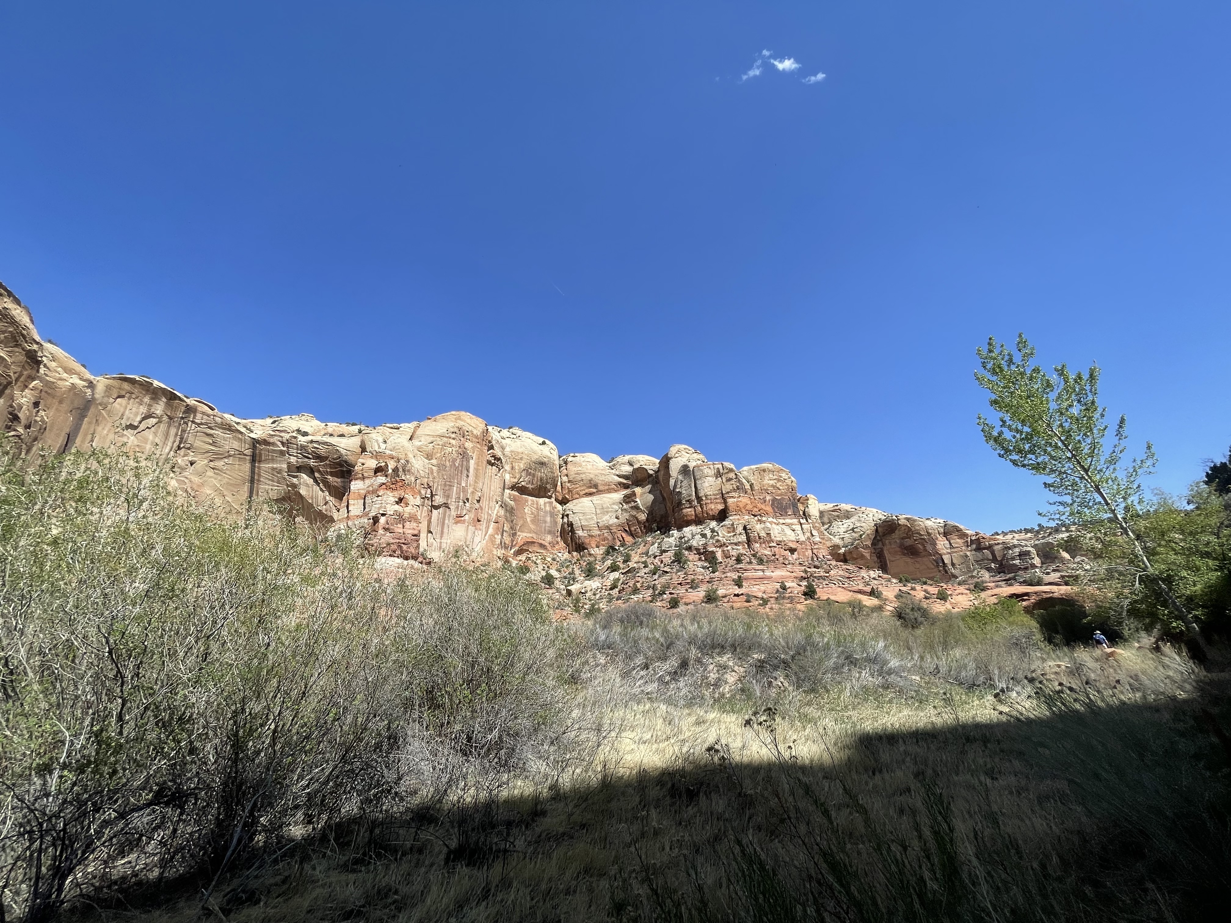 Lower Calf Creek Falls