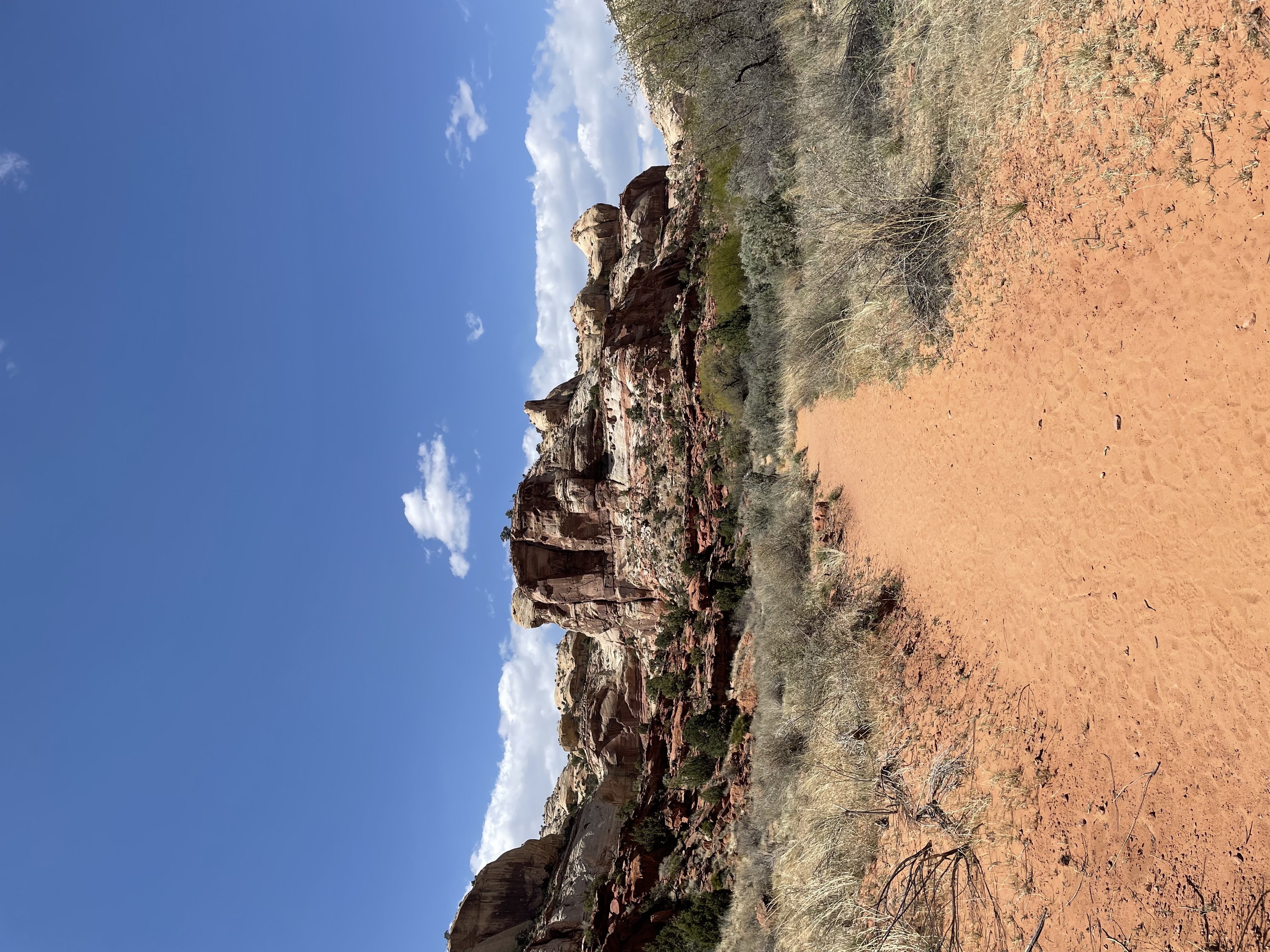 Lower Calf Creek Falls