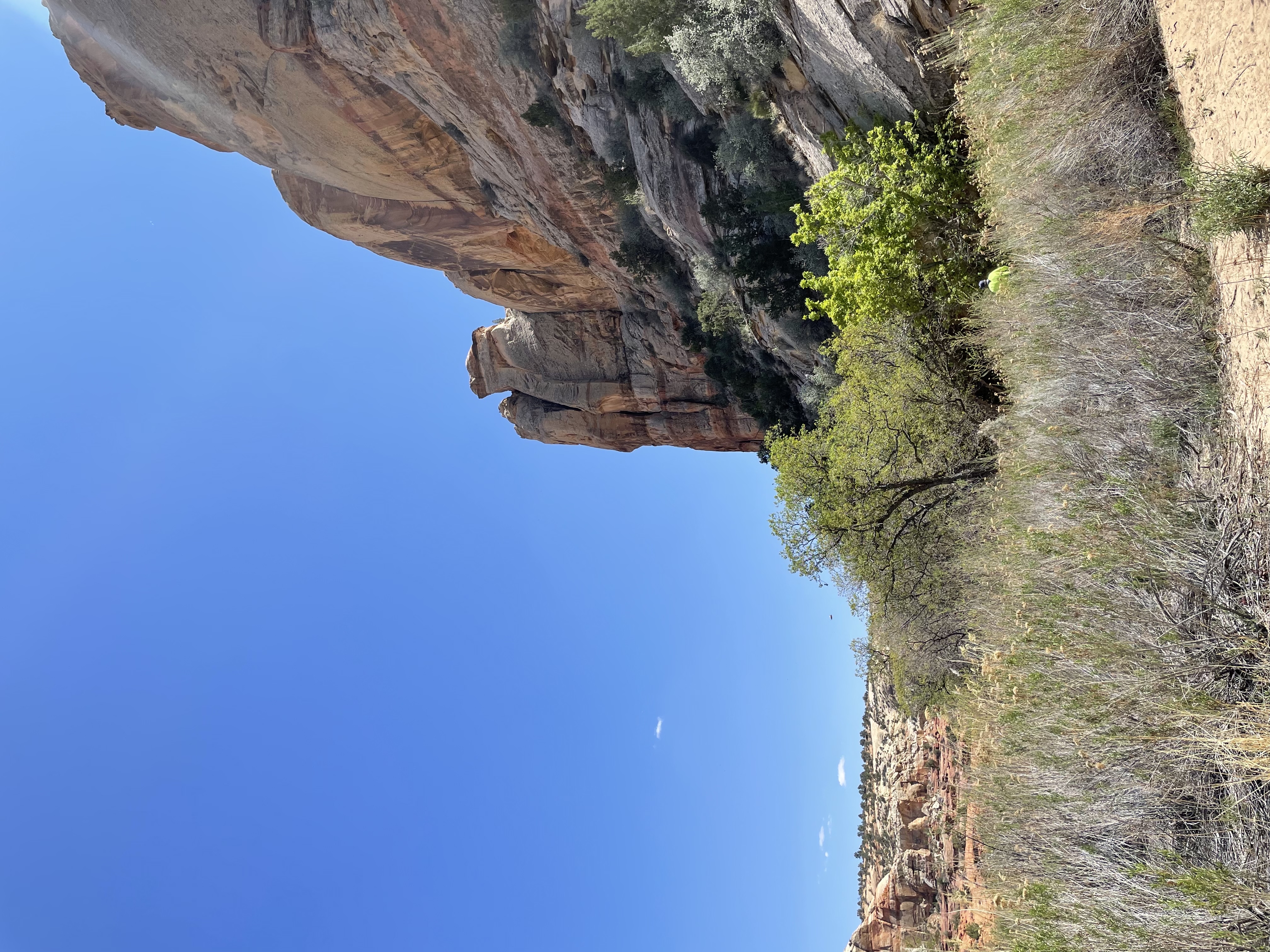 Lower Calf Creek Falls
