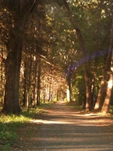 Whiting Street Reservoir Loop