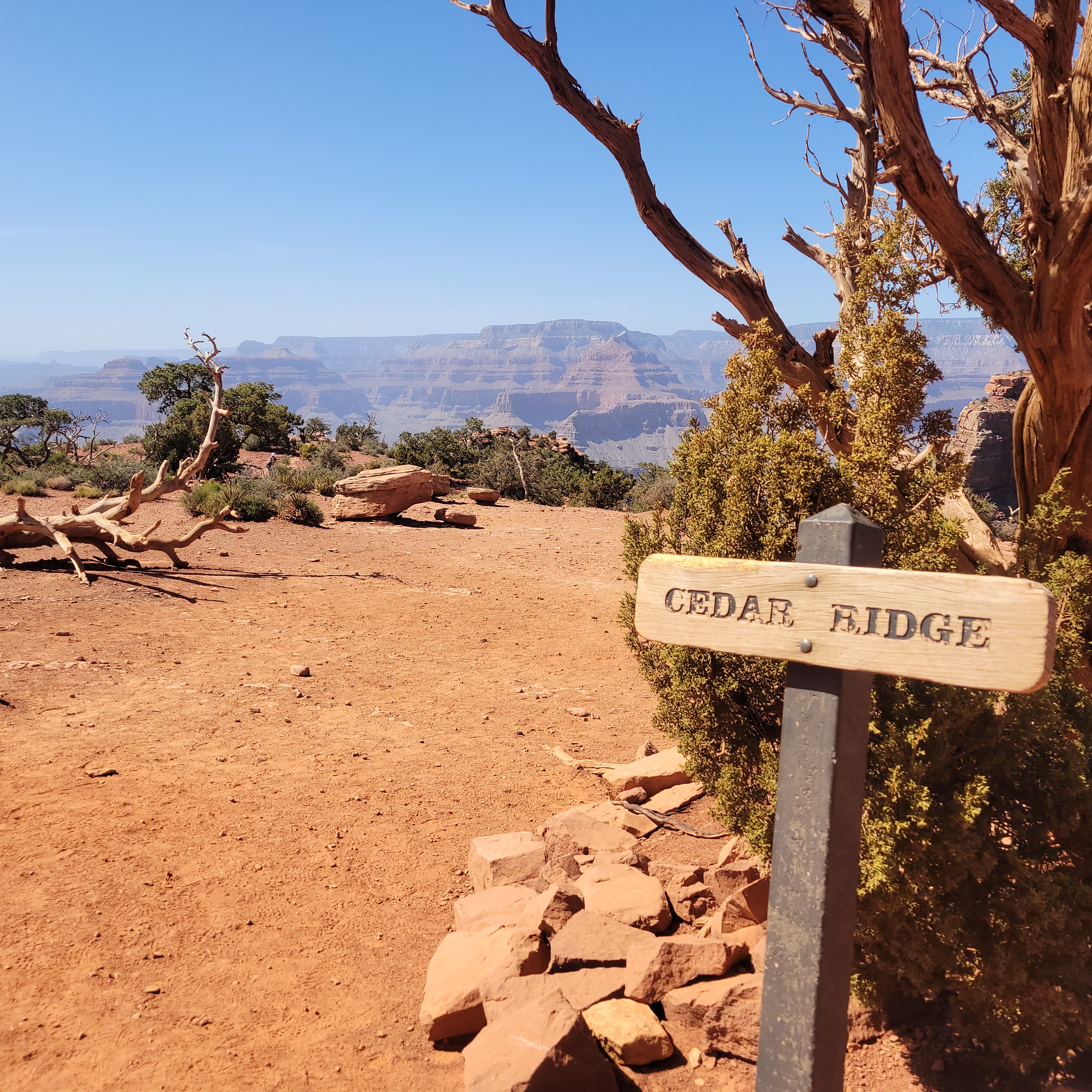 Cedar Ridge via South Kaibab Trail 