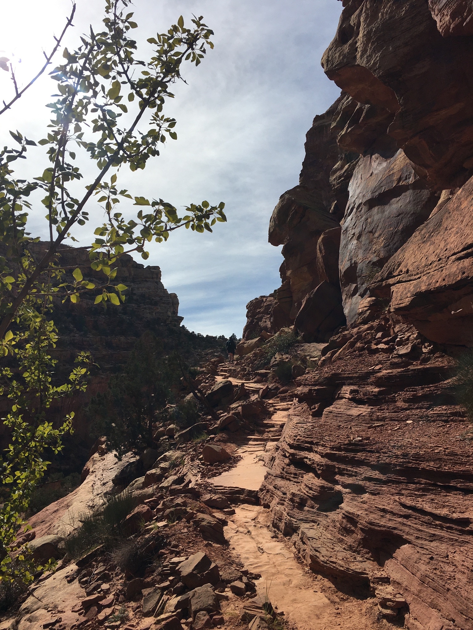 Hickman Natural Bridge Trail