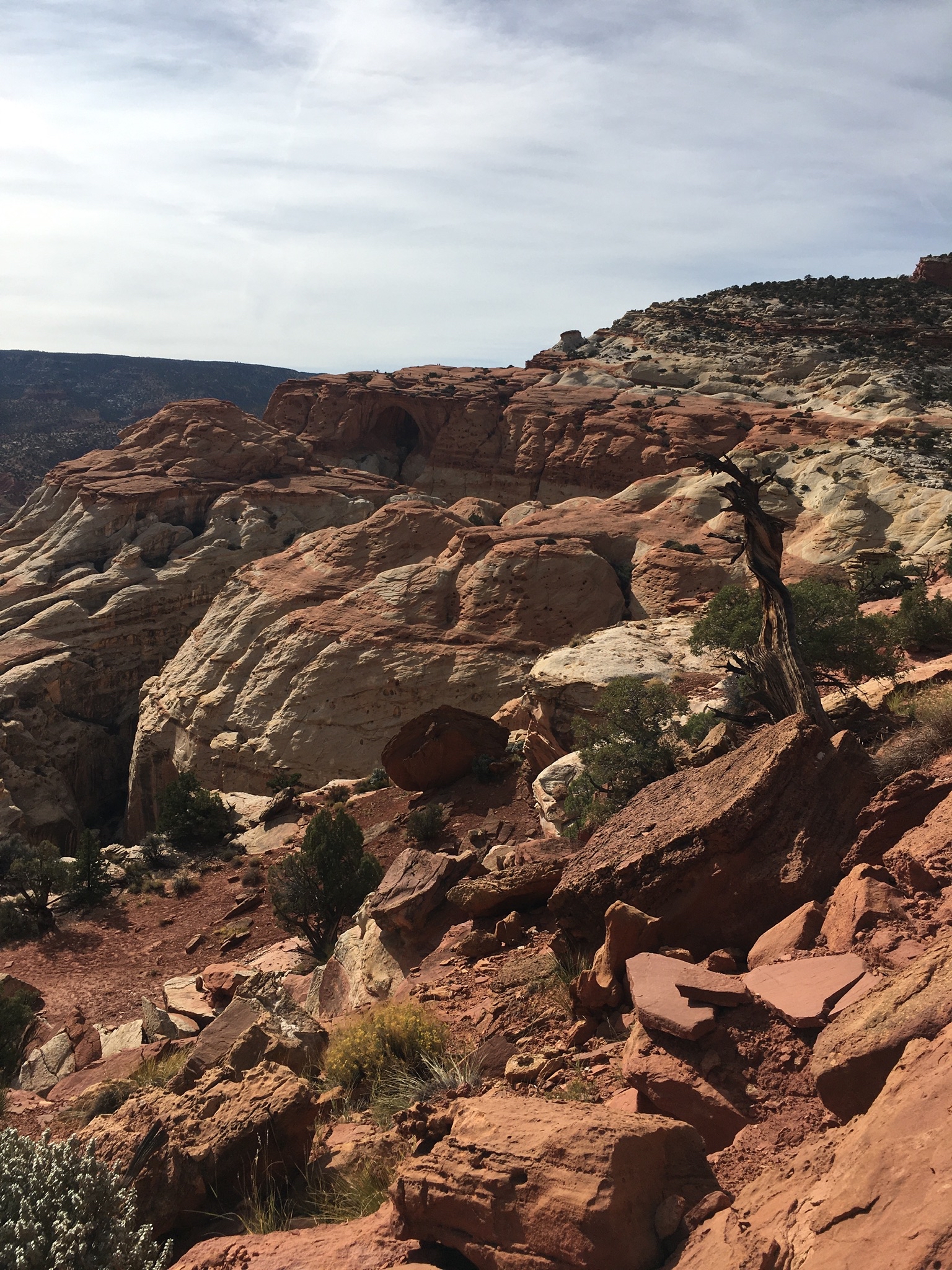 Hickman Natural Bridge Trail