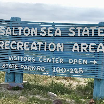 Camp at the Salton Sea