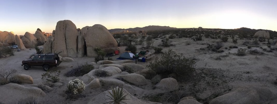 Camp at Joshua Tree's White Tank Campground