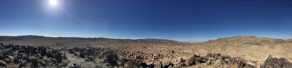 Camp at Joshua Tree's White Tank Campground