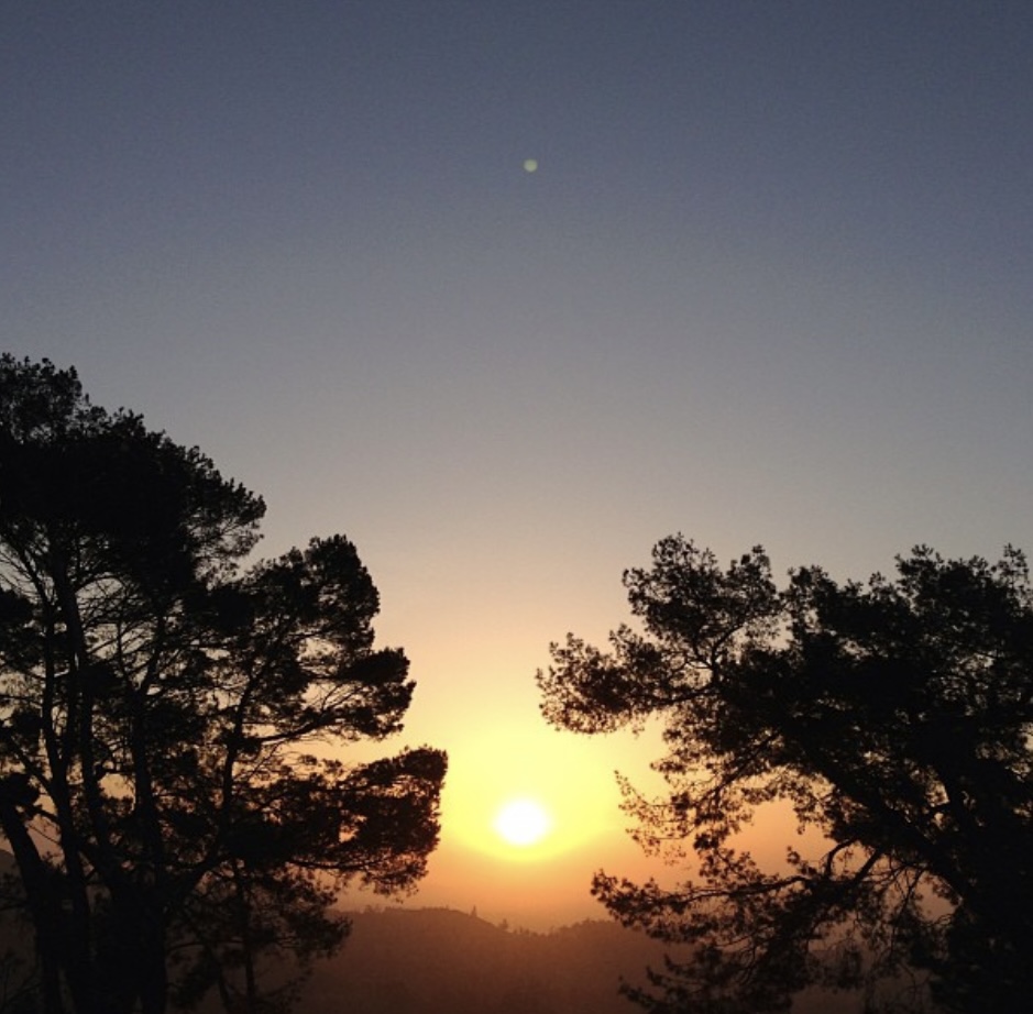 Mount Hollywood Trail