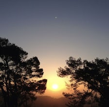 Mount Hollywood Trail