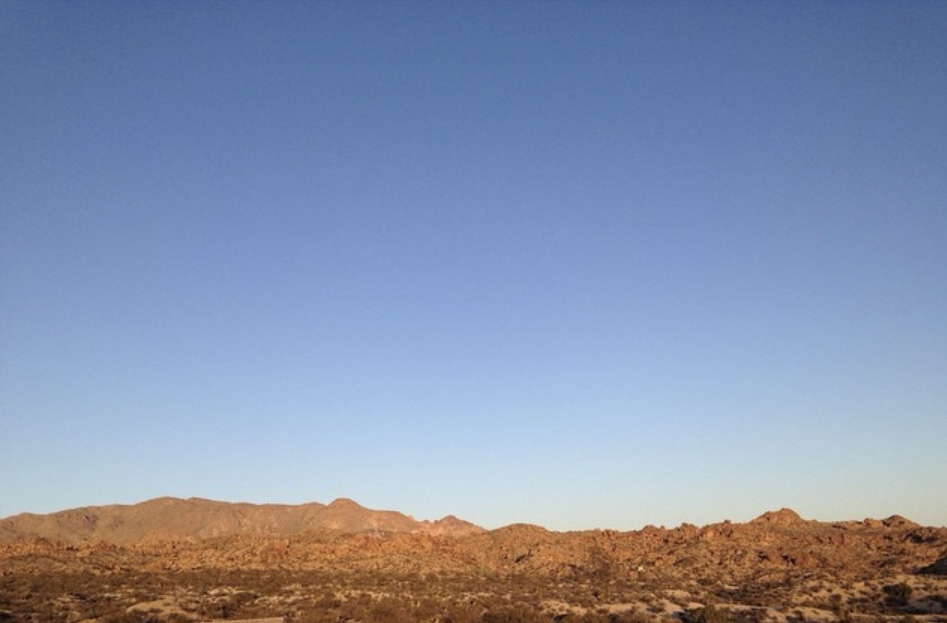 Camp at Joshua Tree's White Tank Campground