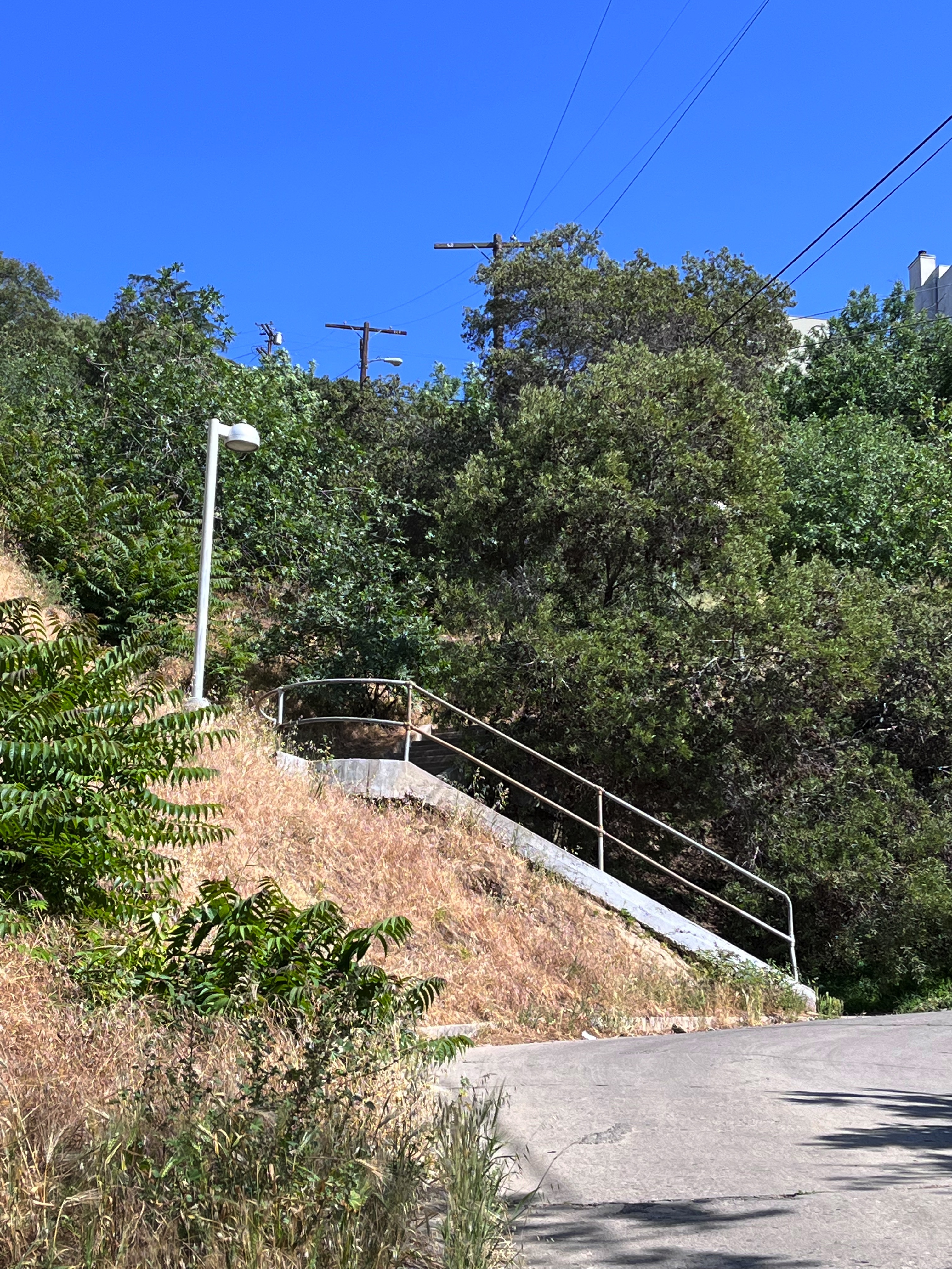 Baxter Steps