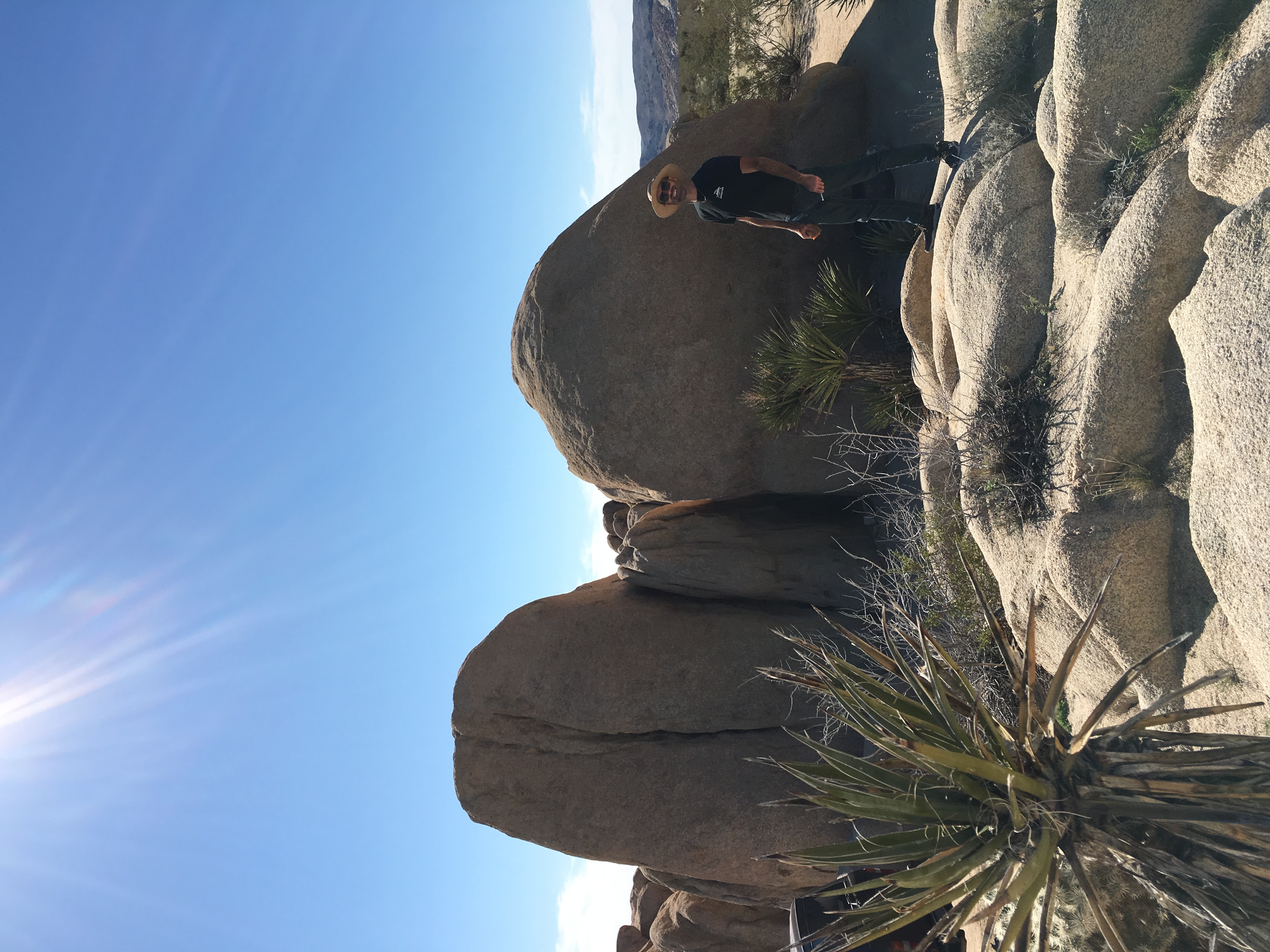Camp at Joshua Tree's White Tank Campground