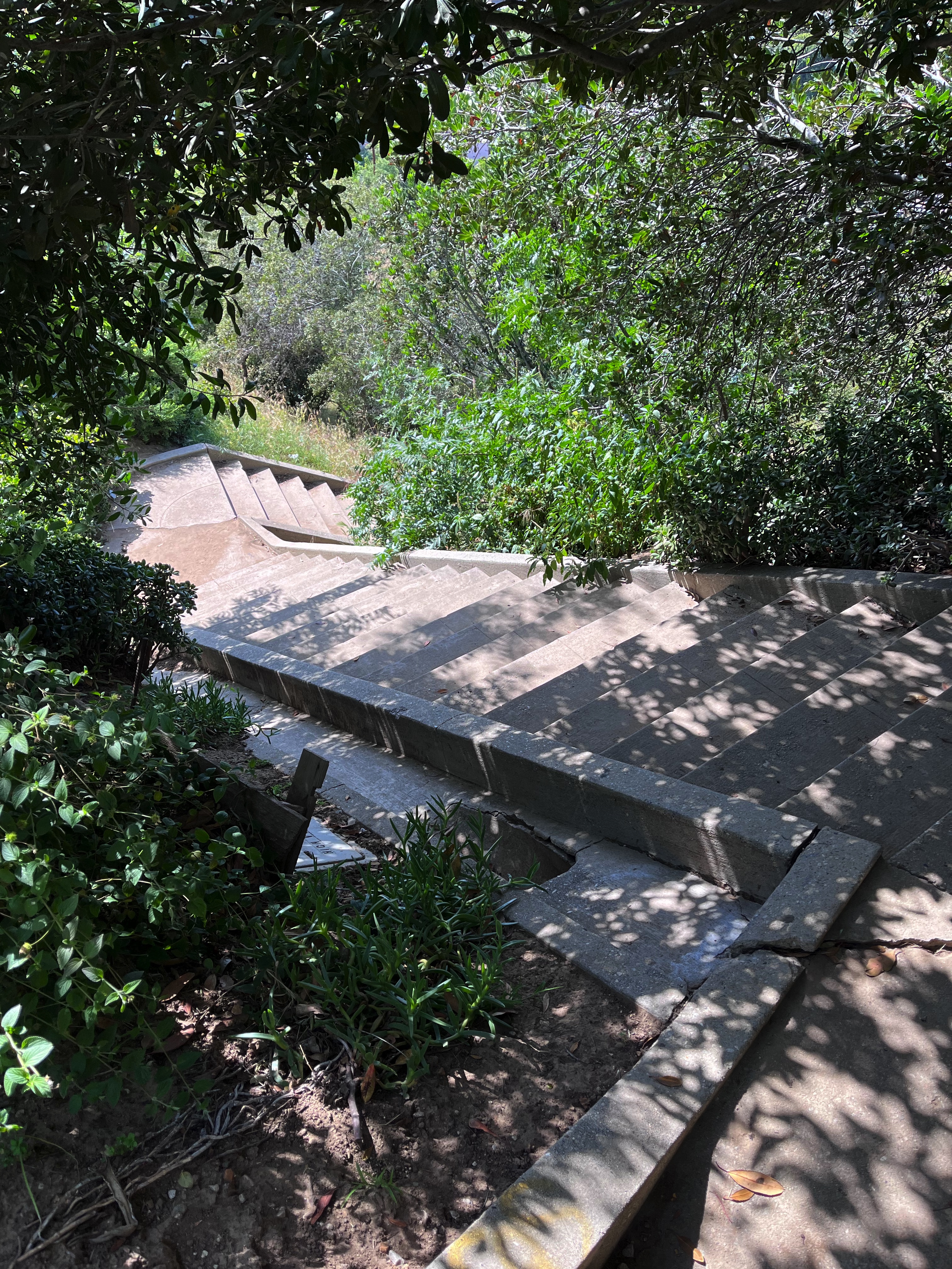 Baxter Steps