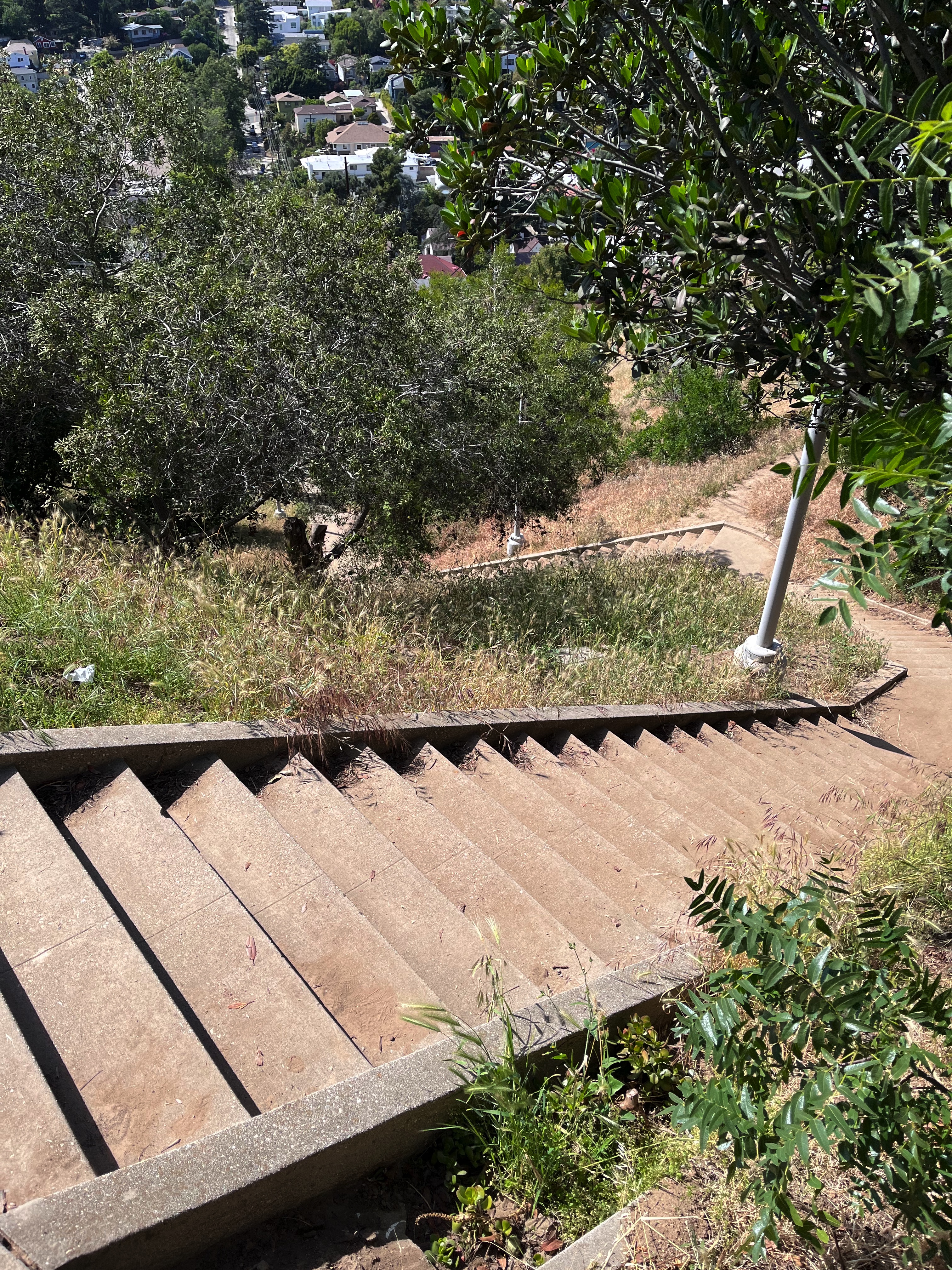 Baxter Steps