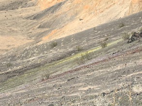 Ubehebe and Little Hebe Crater Trail