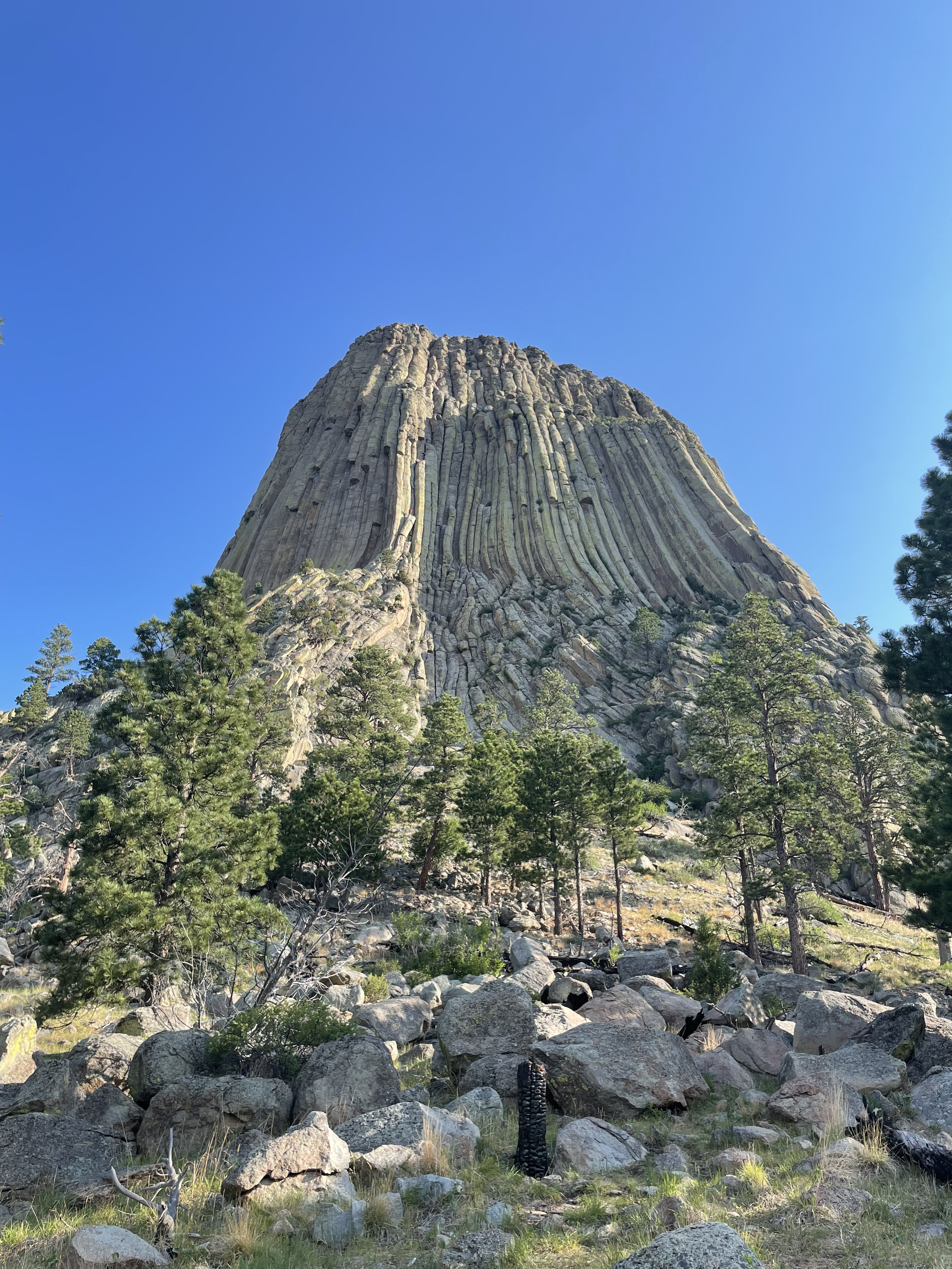 Devil's Tower Trail