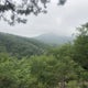 Appalachian Trail: Dennis Cove to US 19E