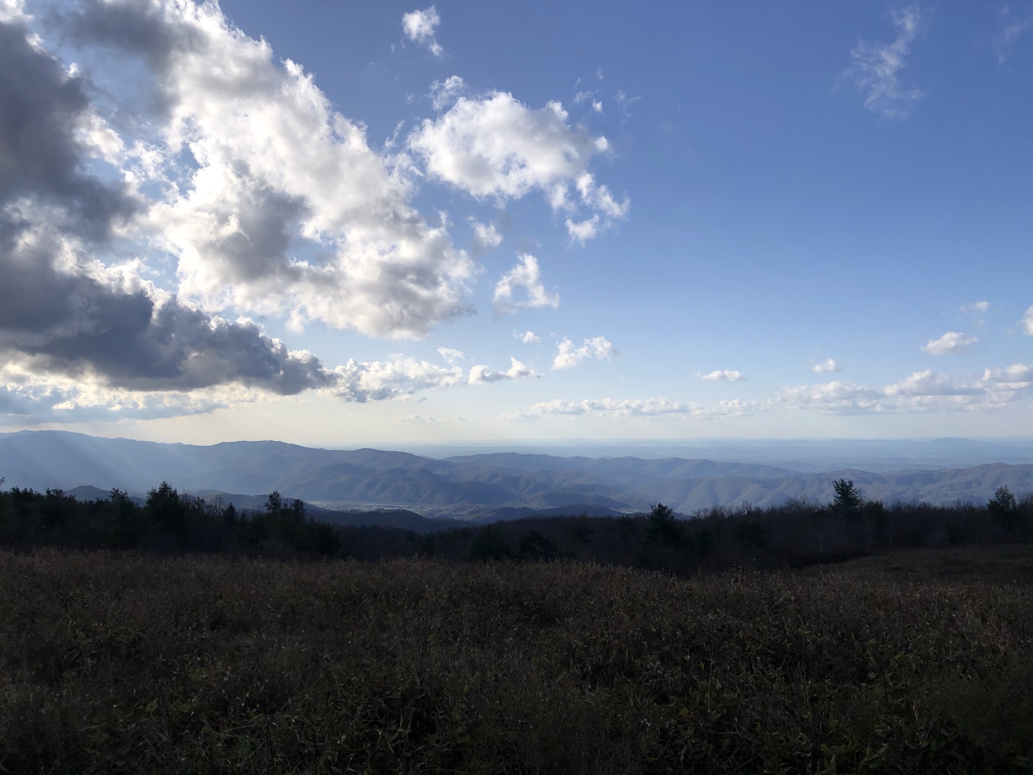 Appalachian Trail: Beauty Spot to Unaka Mountain