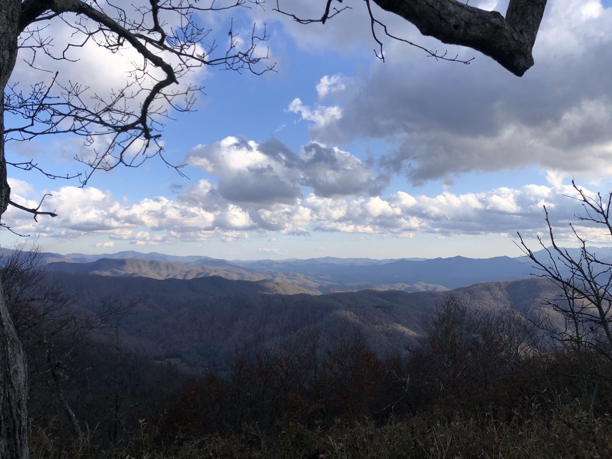 Appalachian Trail: Beauty Spot to Unaka Mountain