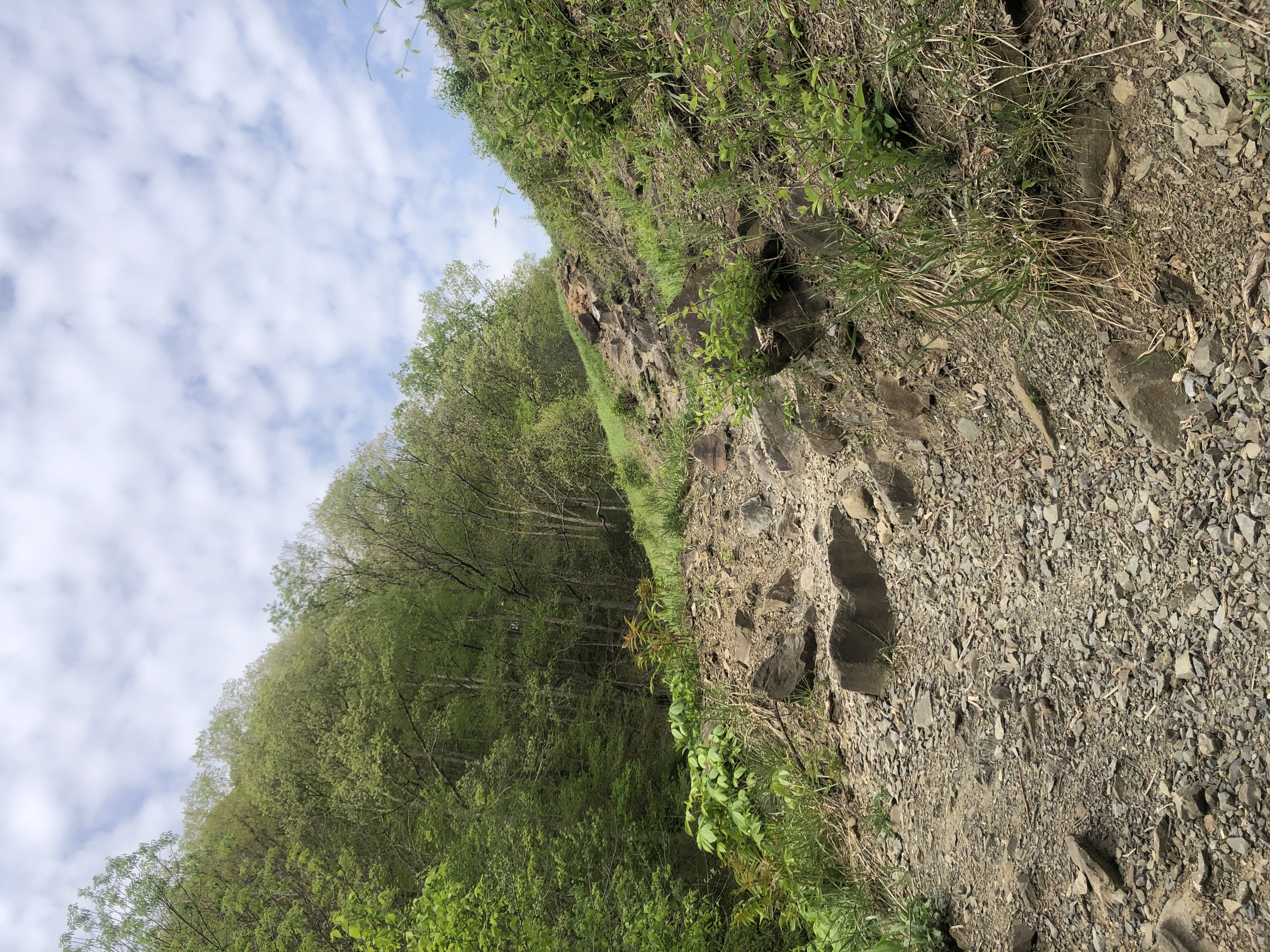 Lake Ridge Trail and Lakeside Trail