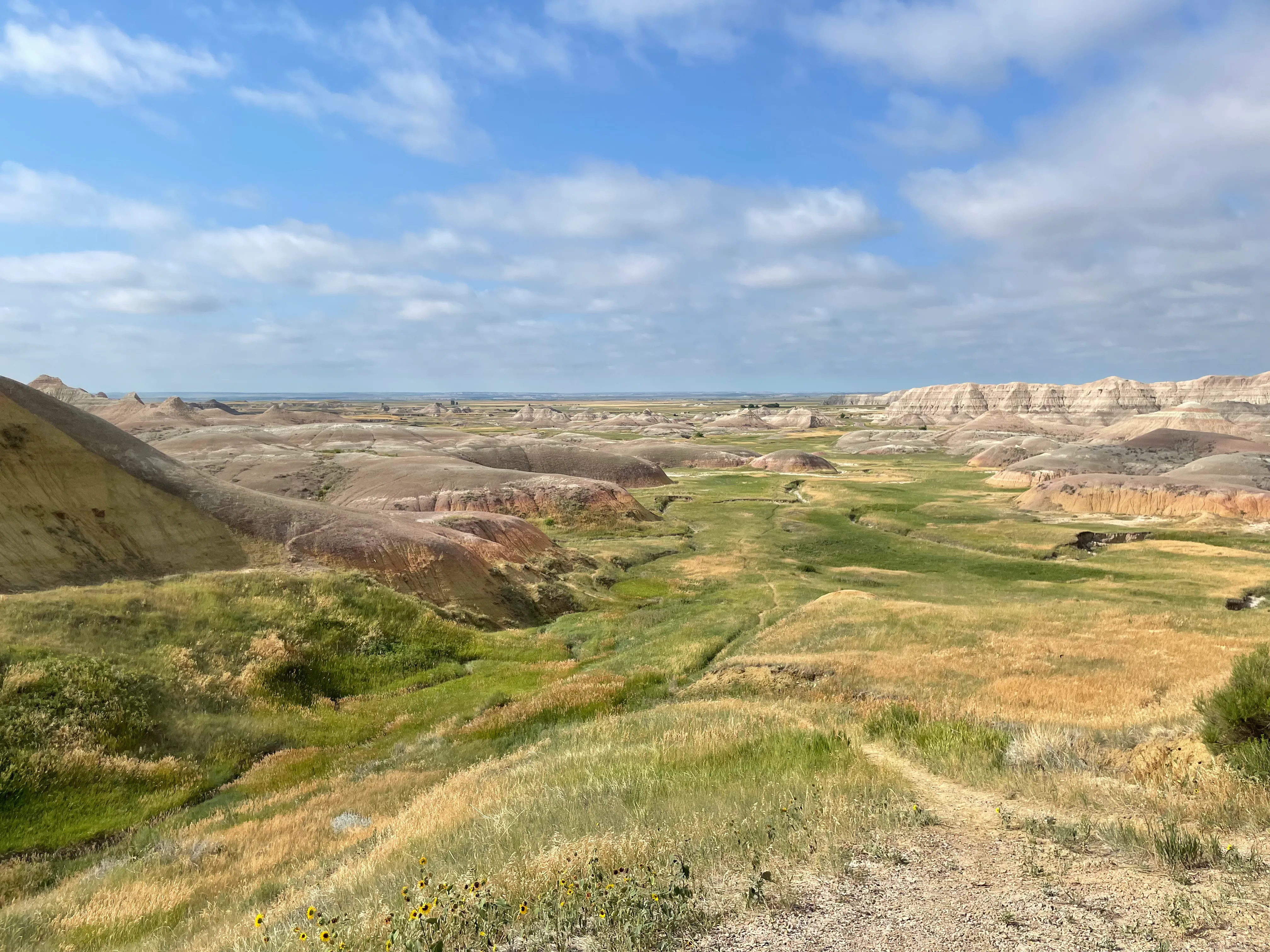 Drive the Sage Creek Rim Road