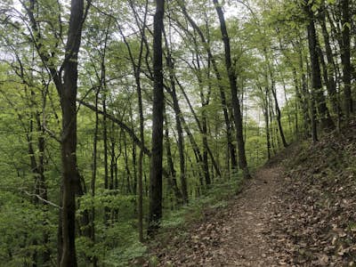 Lake Ridge Trail and Lakeside Trail