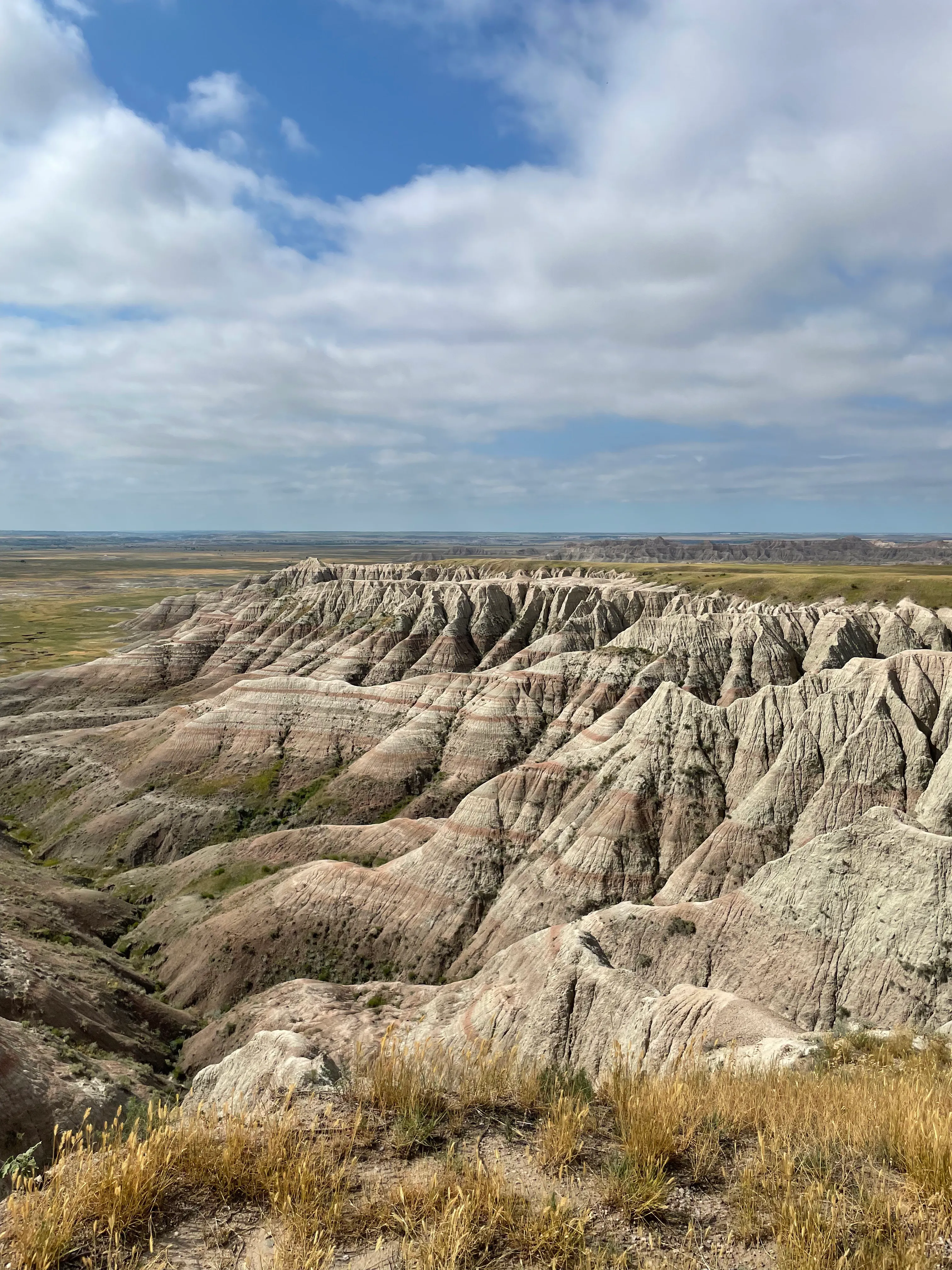 Drive the Sage Creek Rim Road