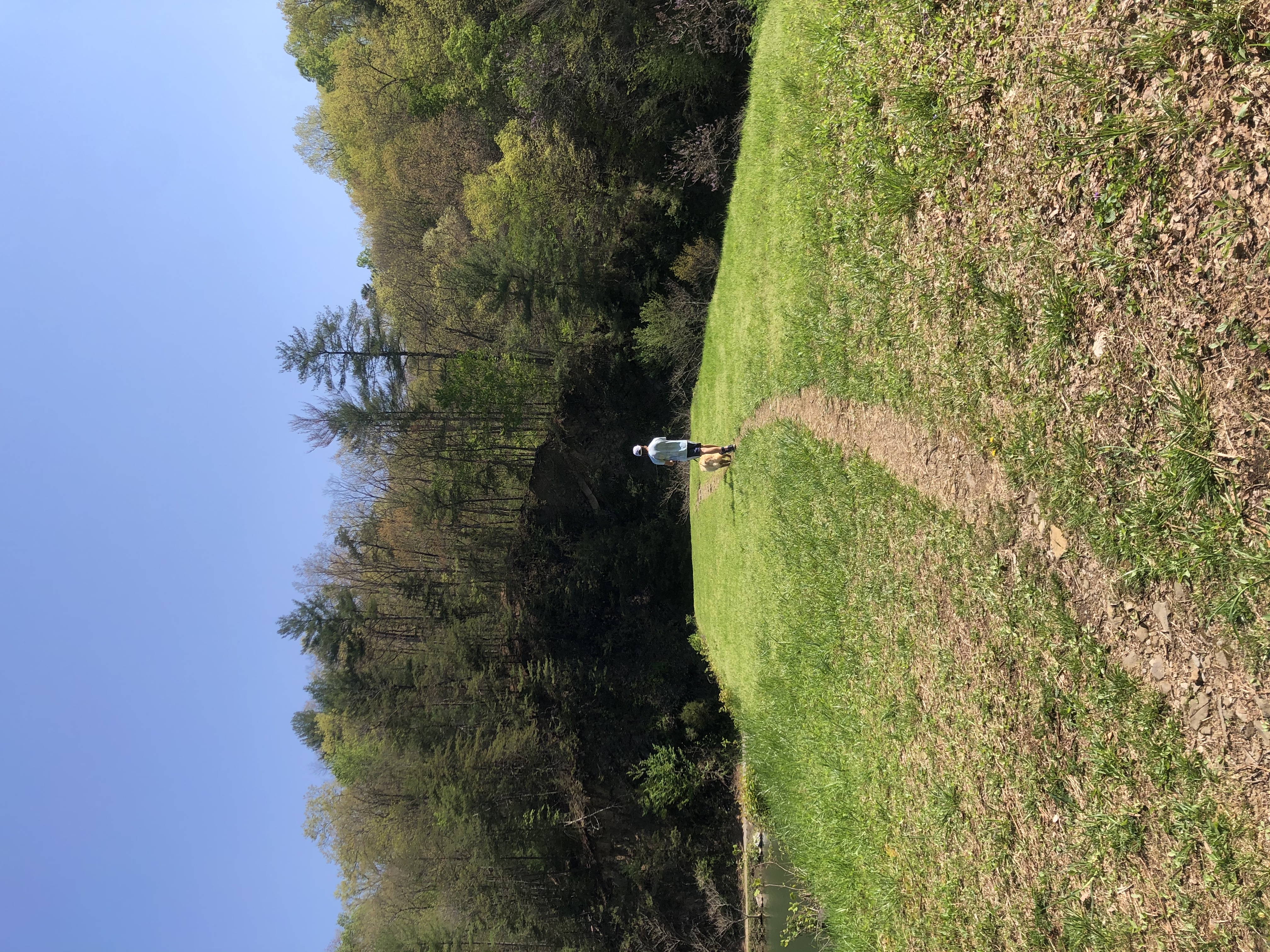 Lake Ridge Trail and Lakeside Trail